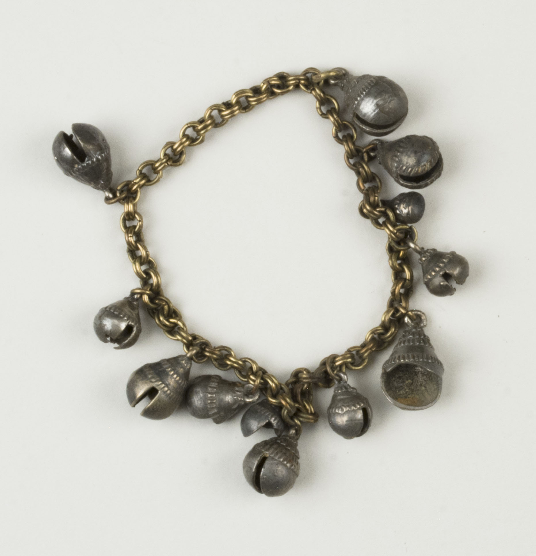 Top view without scale (c) Field Museum of Natural History - CC BY-NC 4.0