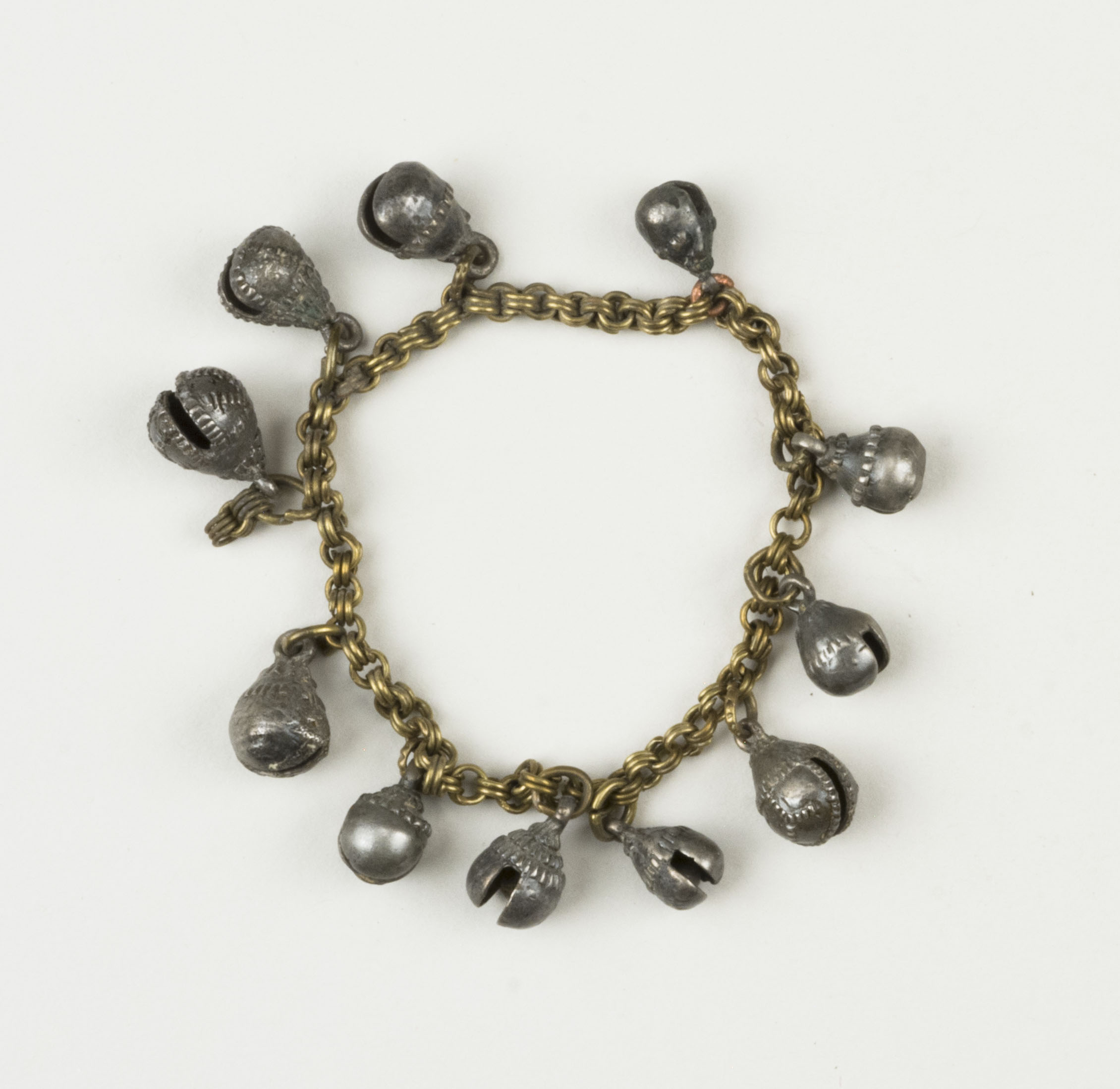 Top view without scale (c) Field Museum of Natural History - CC BY-NC 4.0