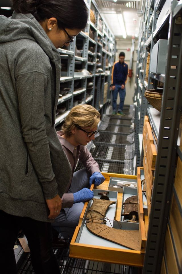 Image depicting volunteer Joseph Furbeck taking a closer look into the drawers while touring a visitors around the collections within CAS Mezzanine storeroom. Selected for use on the homepage of the Philippine Heritage Collections interactive web portal. (c) Field Museum of Natural History - CC BY-NC 4.0