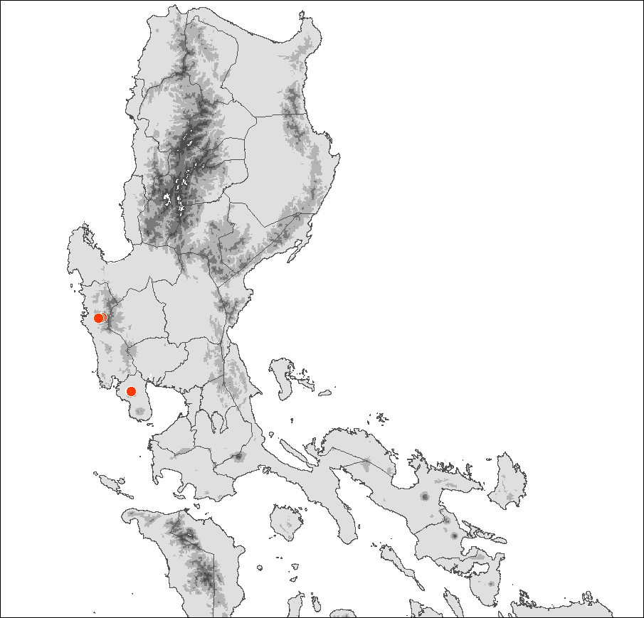 (c) The Field Museum (c) Field Museum of Natural History - CC BY-NC 4.0