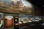 Permian Reptiles and Amphibians. Paleozoic Pelycosaur skeletons: Dimetrodon, Edaphosaurus, Casea. Charles R. Knight painting or mural [CK45T]. An Egg Held the Key to Diversity. Evolving Planet completed installation of exhibit.