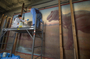 Maho Yoshikawa and Peter Schoenmann. Progress of Charles Knight murals restoration work, being performed on T.rex and Triceratops mural, in Hall 34, by contractors from PARMA Conservation of Chicago. Shots began 01/13/2005 continued on 01/14/2005