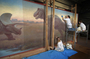 Elizabeth Kendall (owner), Maho Yoshikawa and John Salhus. Progress of Charles Knight murals restoration work, being performed on T.rex and Triceratops mural, in Hall 34, by contractors from PARMA Conservation of Chicago. Shots began 01/13/2005 continued on 01/14/2005