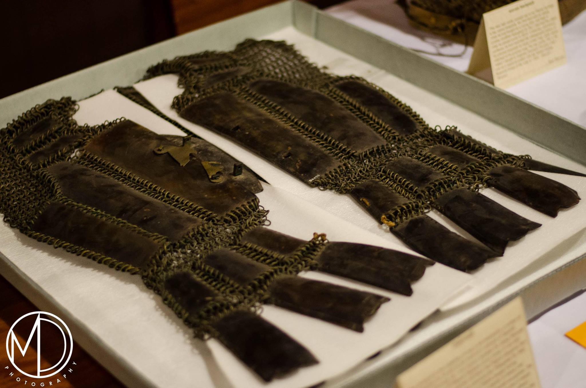 Close up of armor on the display tables. (c) Field Museum of Natural History - CC BY-NC 4.0