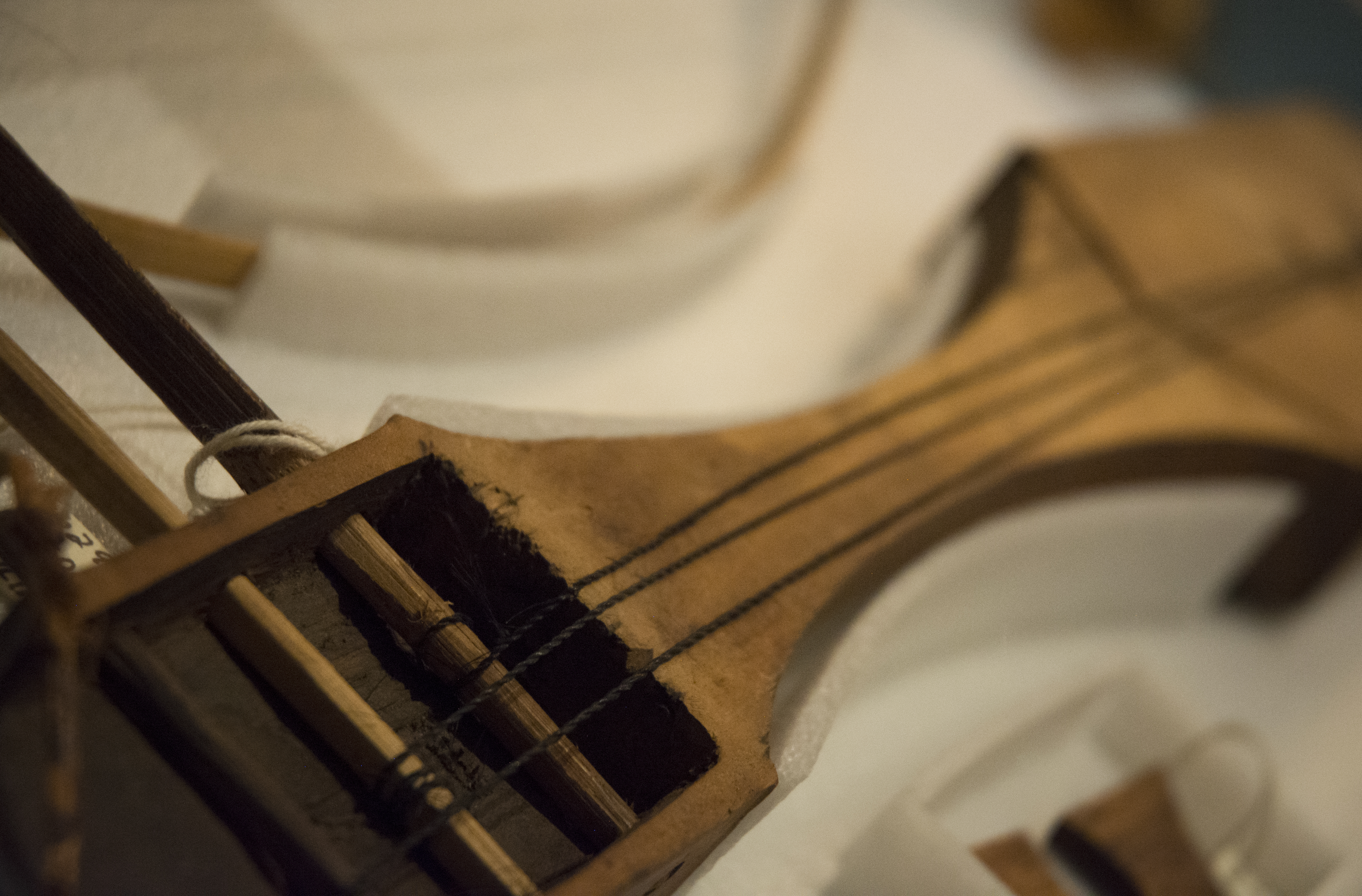 Close up of fiddle strings on display tables. (c) Field Museum of Natural History - CC BY-NC 4.0