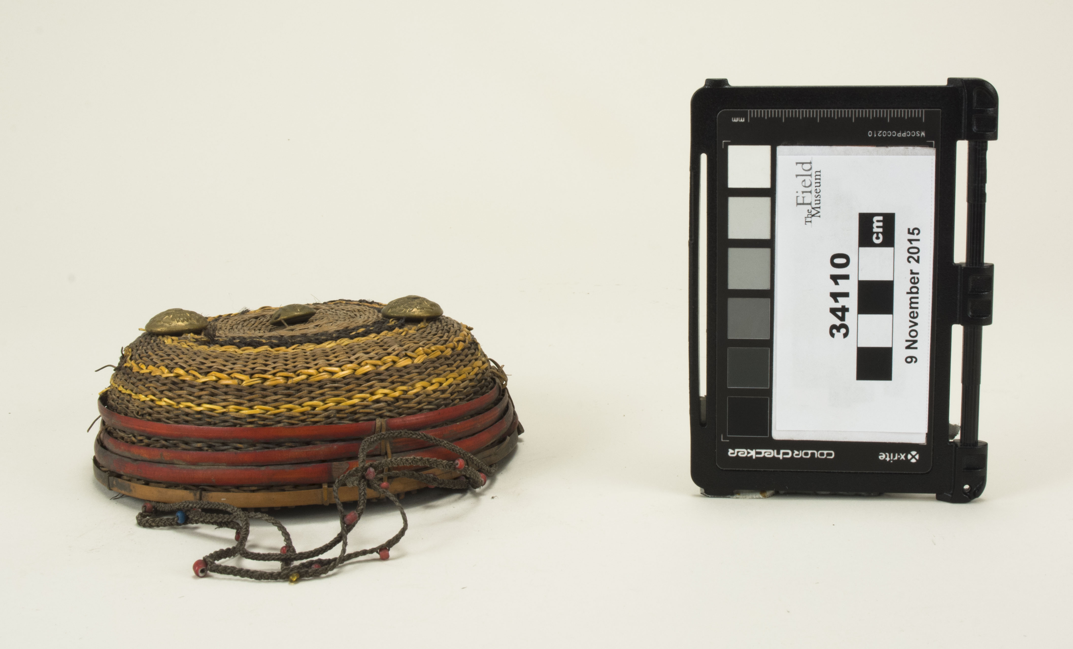 Front view (c) Field Museum of Natural History - CC BY-NC 4.0