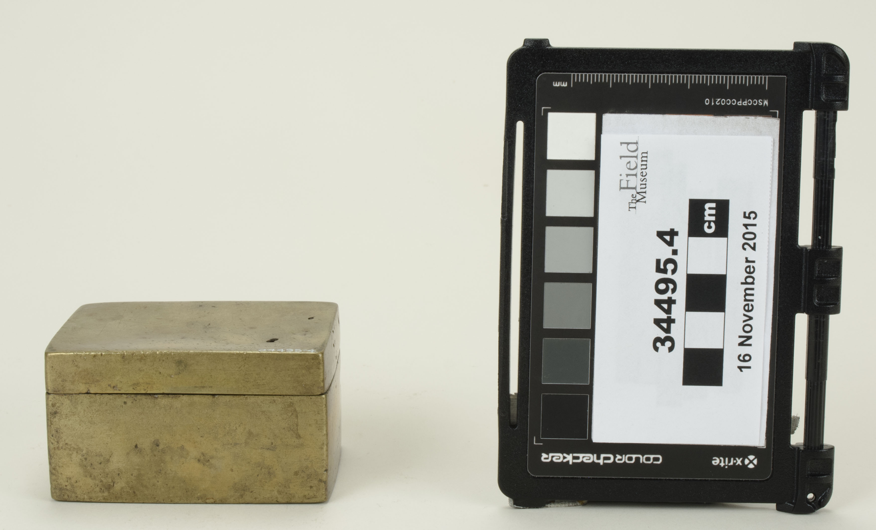 Front view (c) Field Museum of Natural History - CC BY-NC 4.0