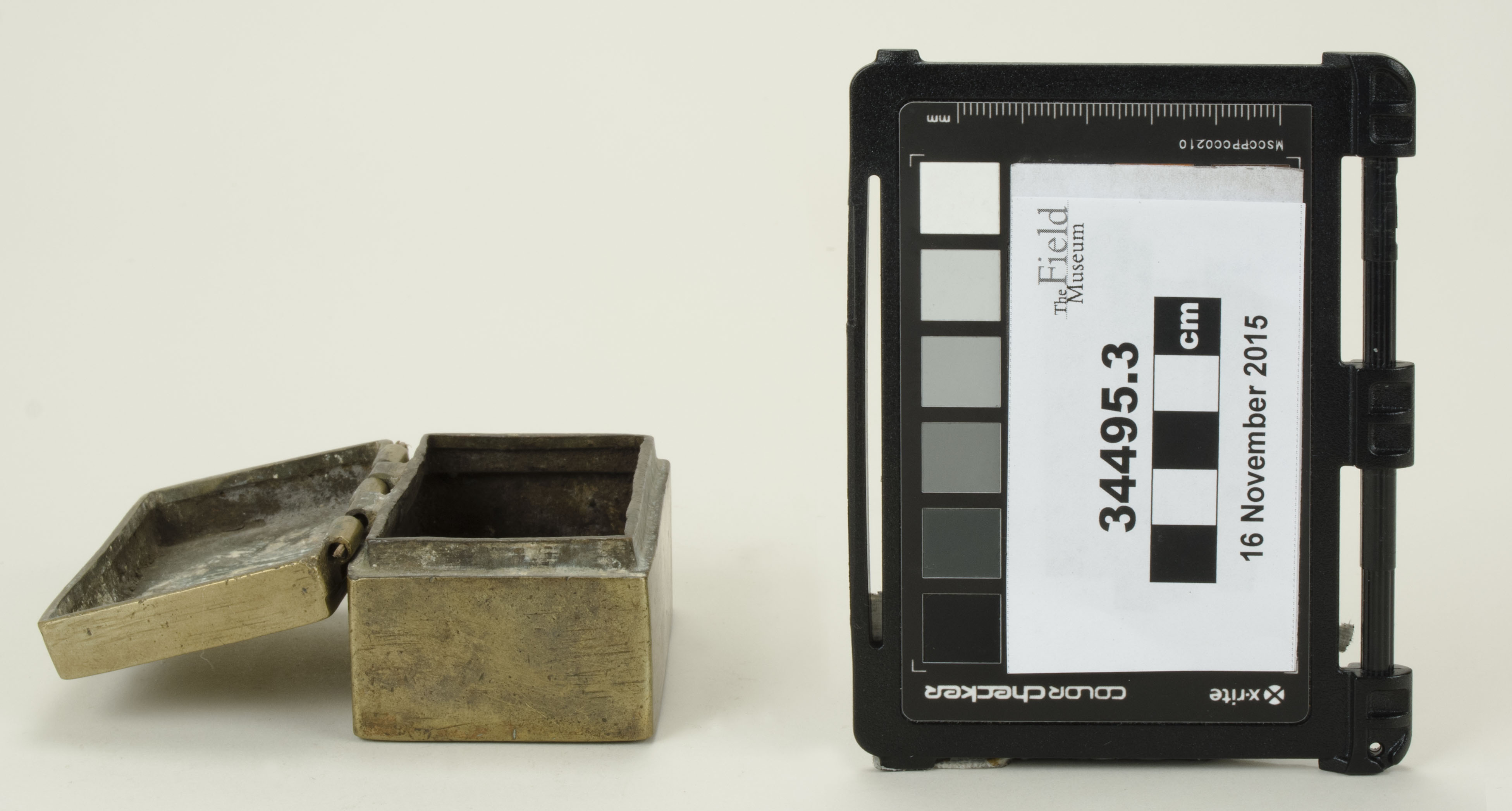 Side open view (c) Field Museum of Natural History - CC BY-NC 4.0