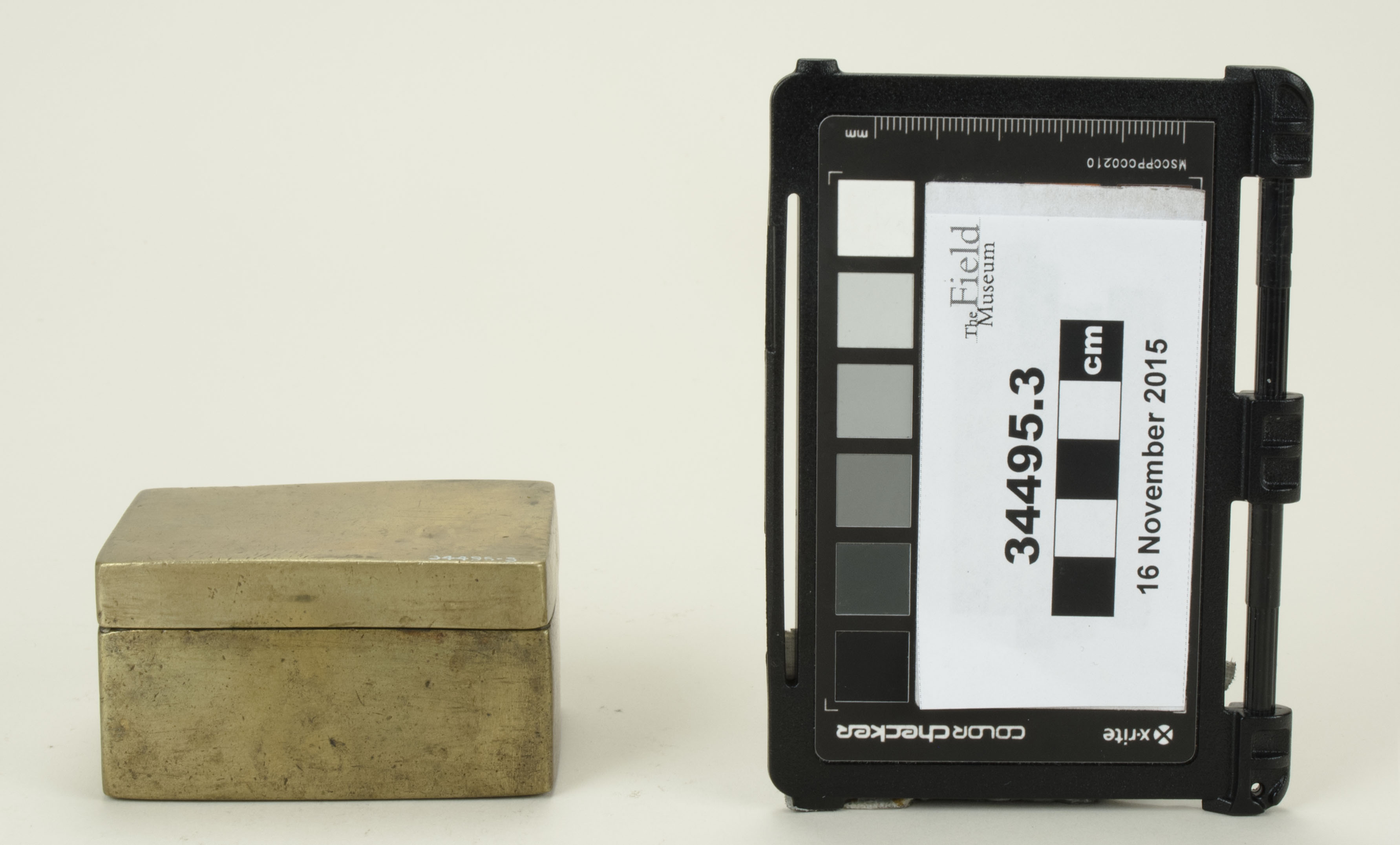 Front view (c) Field Museum of Natural History - CC BY-NC 4.0