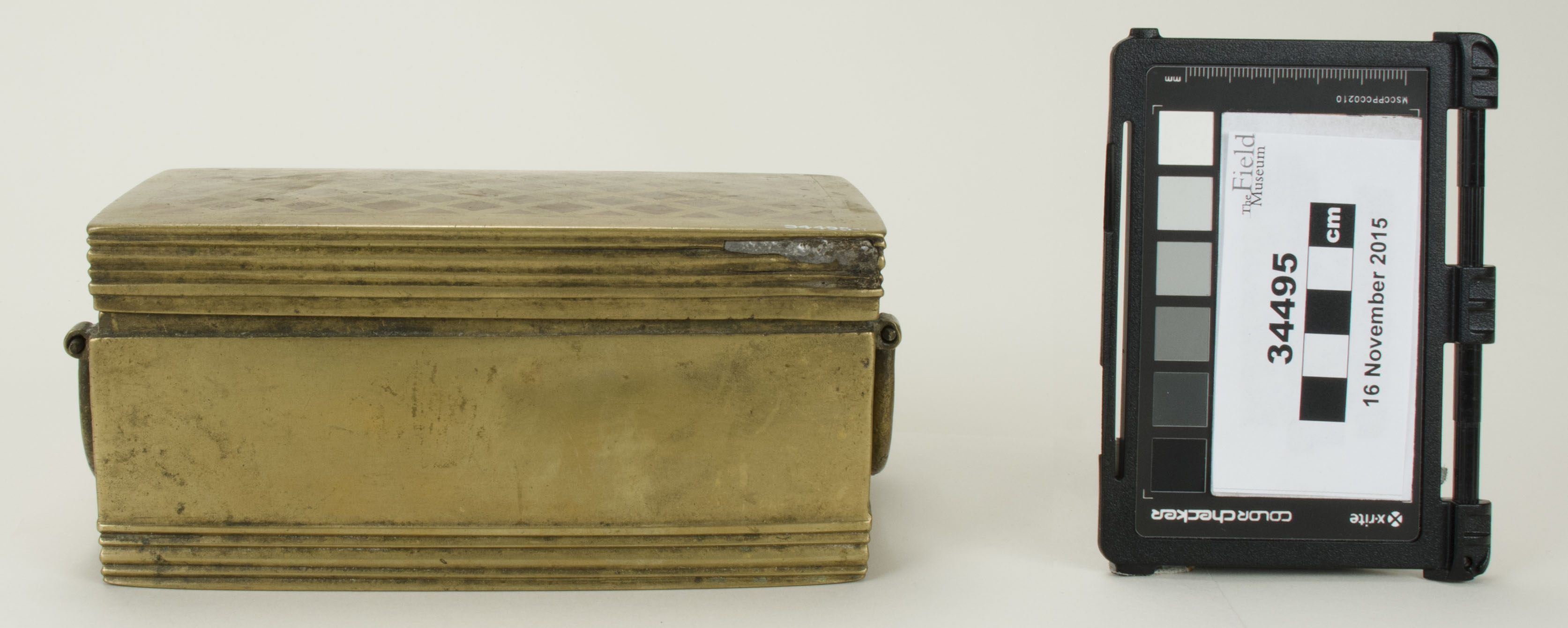 Front view (c) Field Museum of Natural History - CC BY-NC 4.0