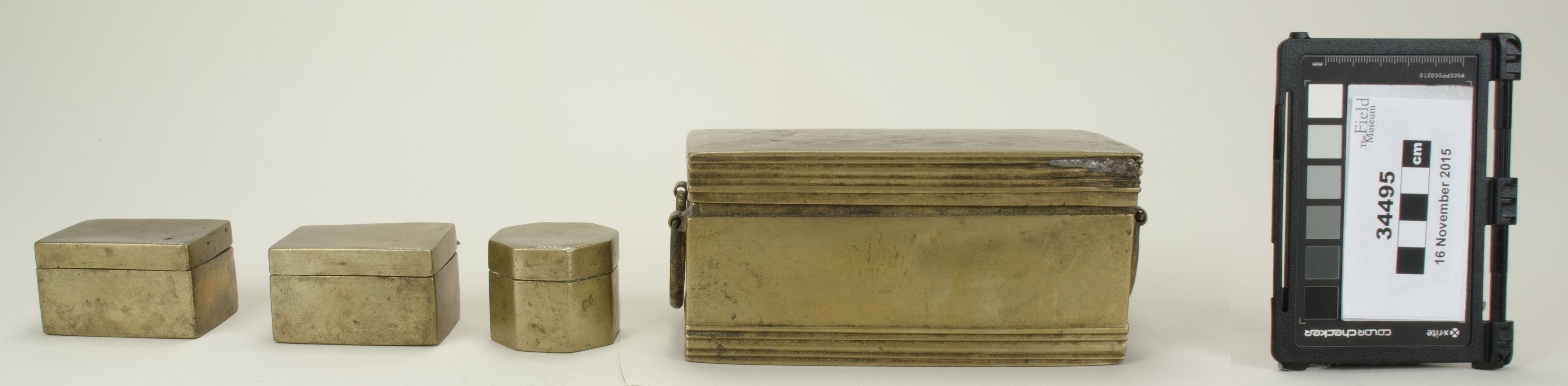 Front view (c) Field Museum of Natural History - CC BY-NC 4.0