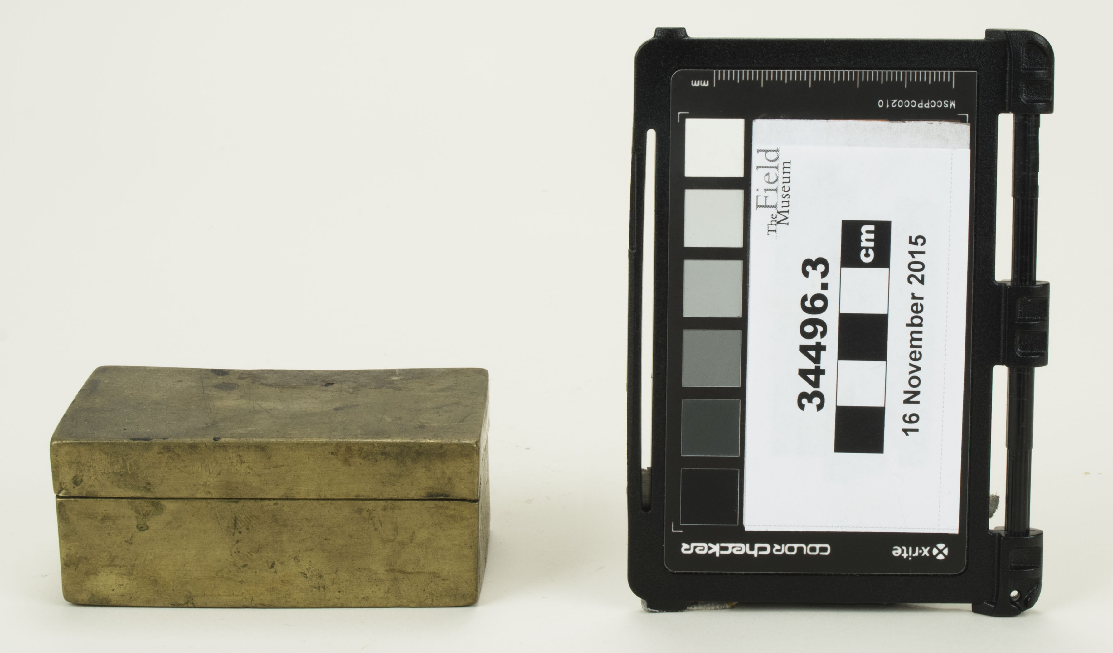 Front view (c) Field Museum of Natural History - CC BY-NC 4.0