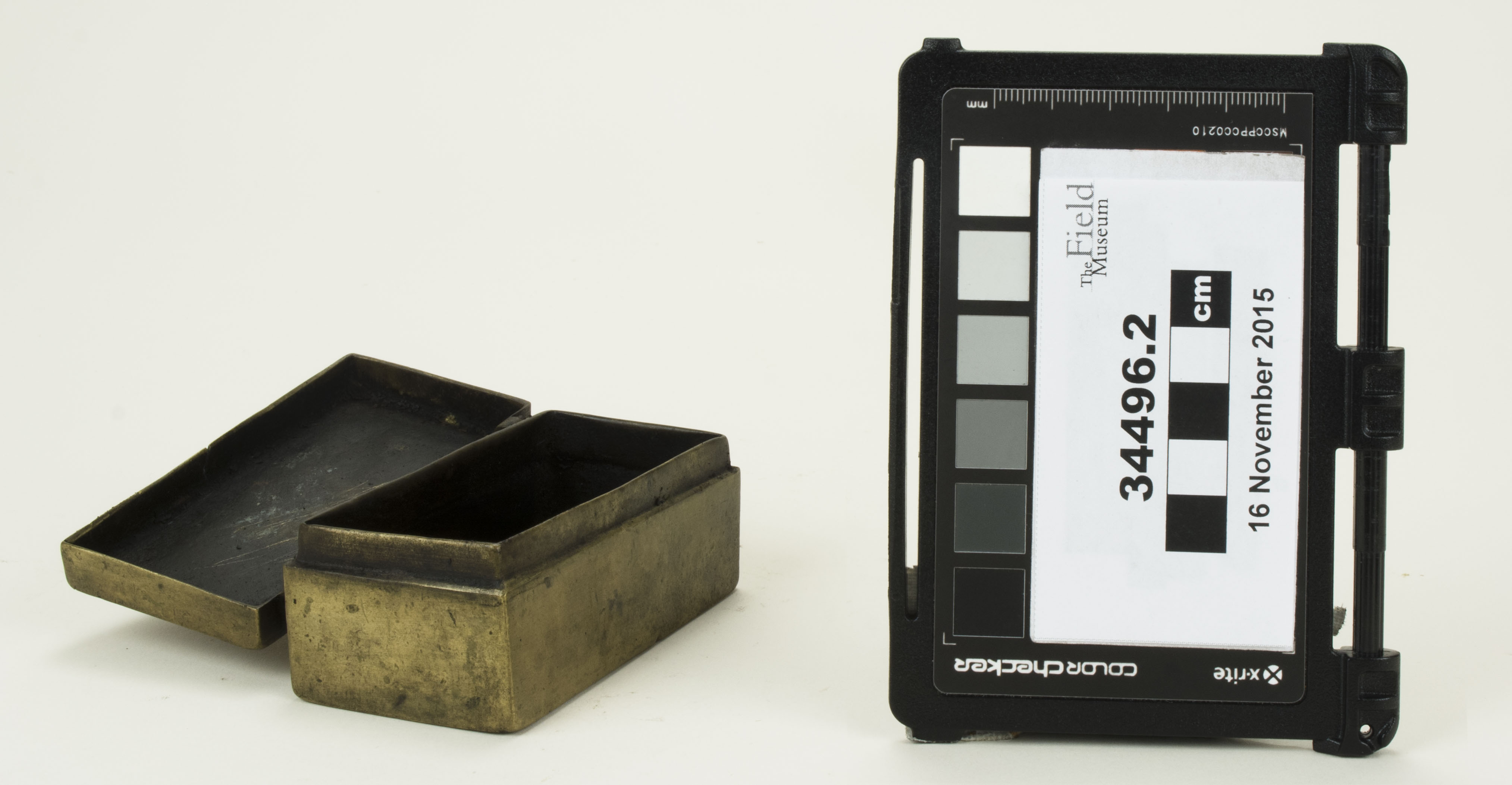 Side open view (c) Field Museum of Natural History - CC BY-NC 4.0