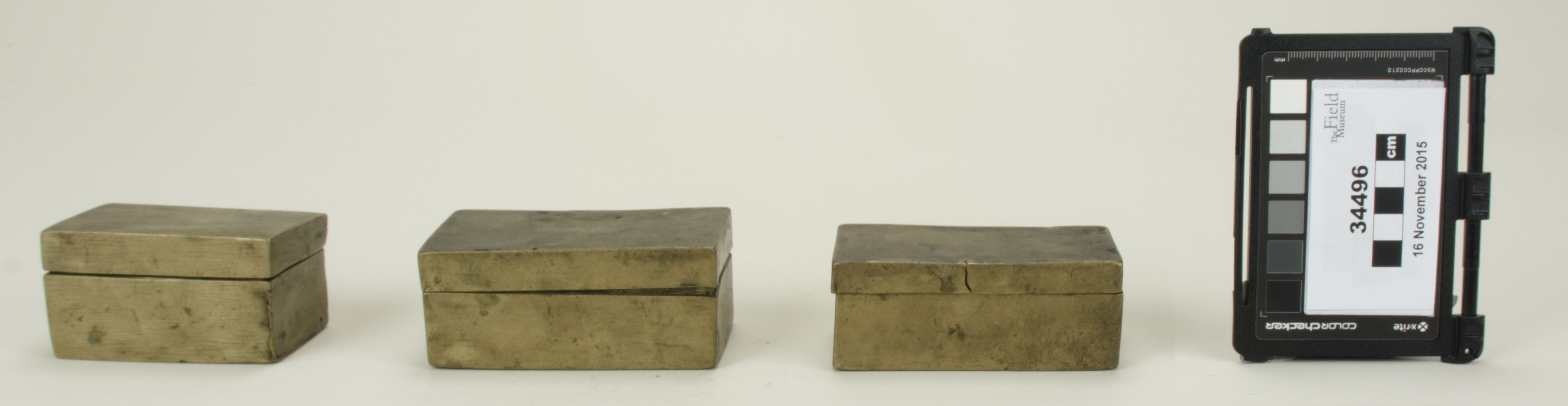 Front view (c) Field Museum of Natural History - CC BY-NC 4.0