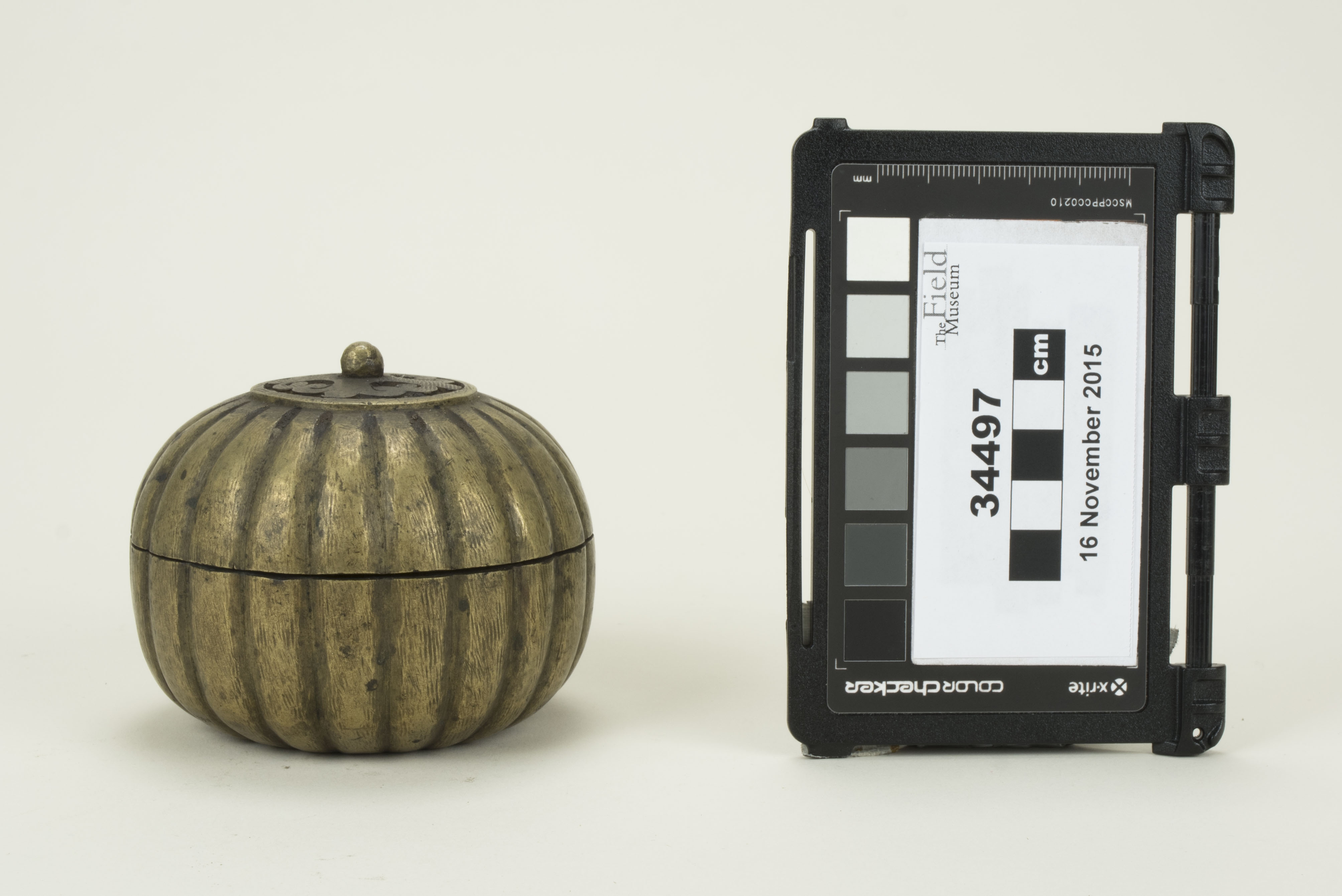 Front view (c) Field Museum of Natural History - CC BY-NC 4.0