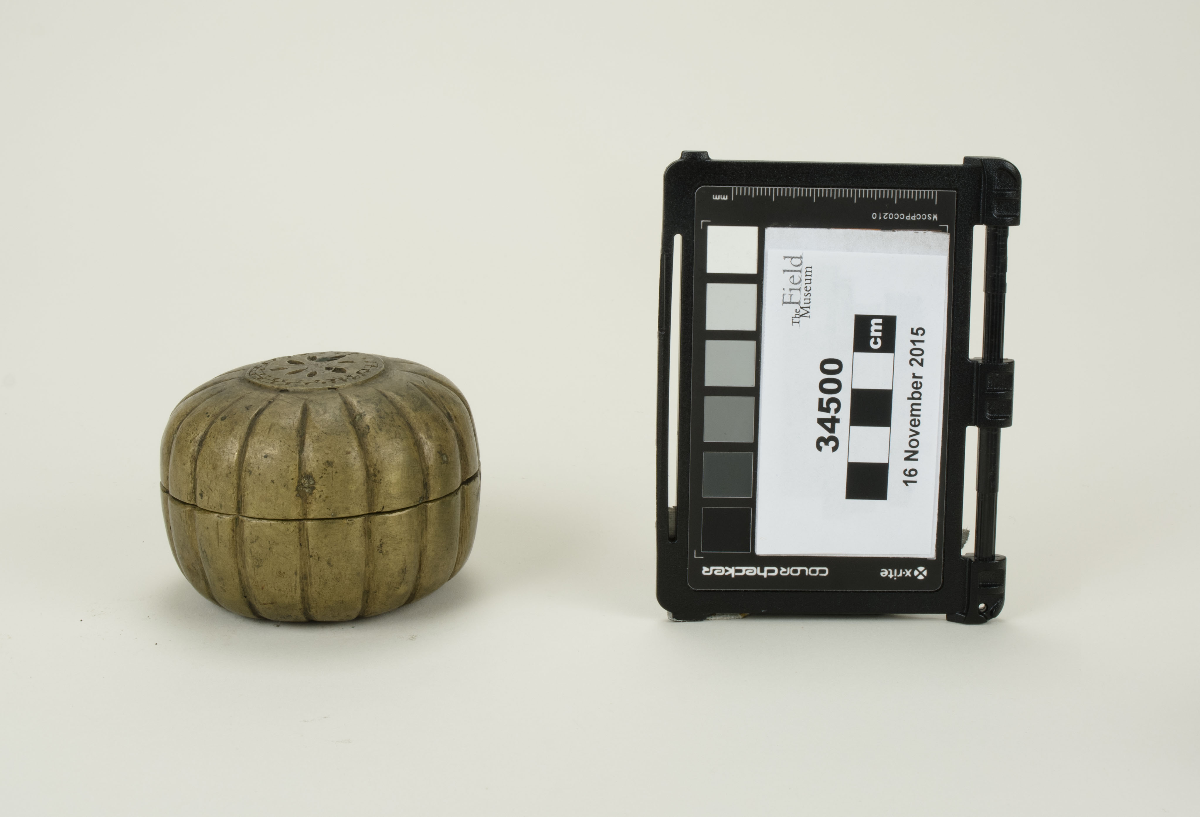 Front view (c) Field Museum of Natural History - CC BY-NC 4.0