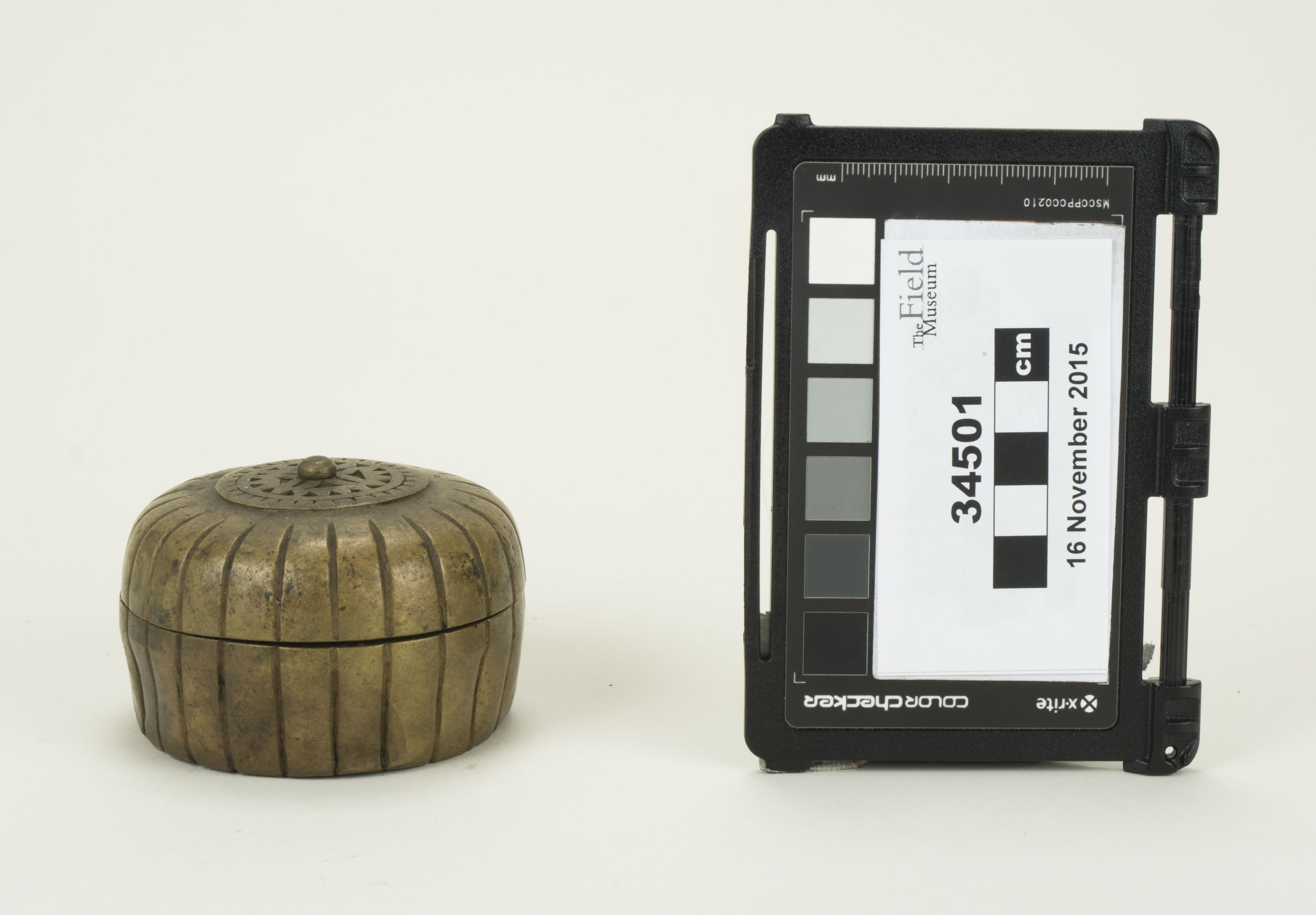 Front view (c) Field Museum of Natural History - CC BY-NC 4.0