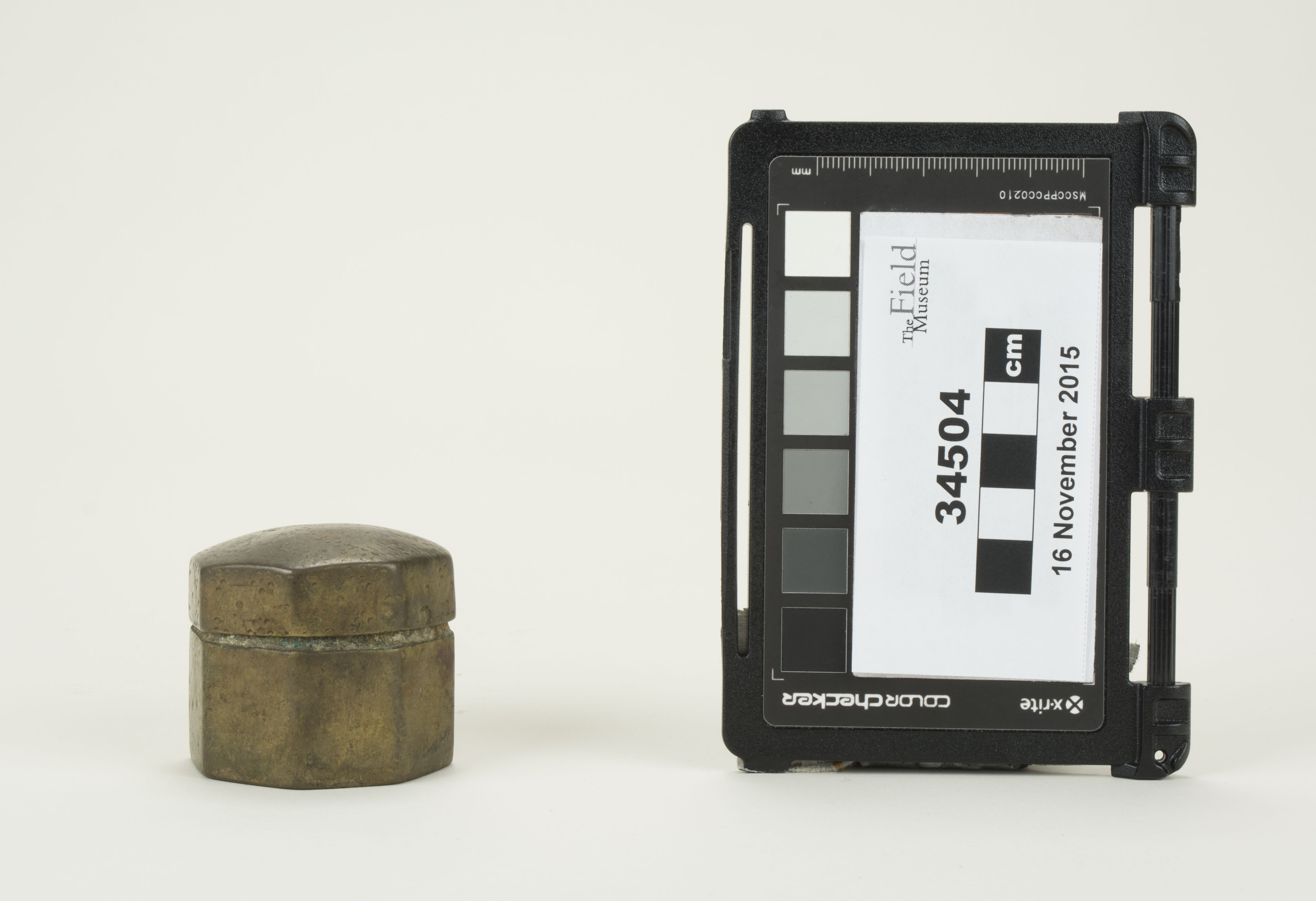 Front view (c) Field Museum of Natural History - CC BY-NC 4.0