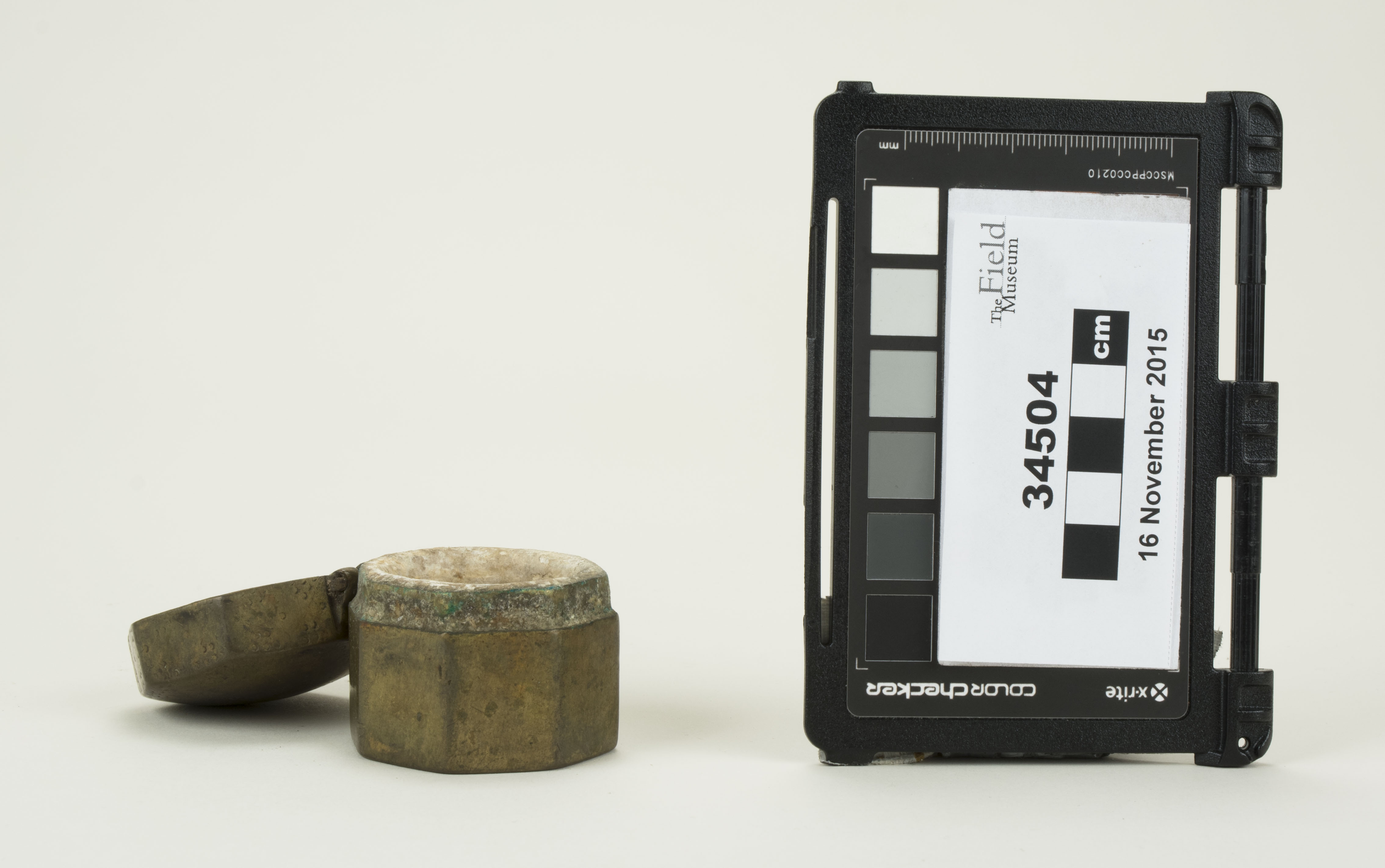 Front open view (c) Field Museum of Natural History - CC BY-NC 4.0