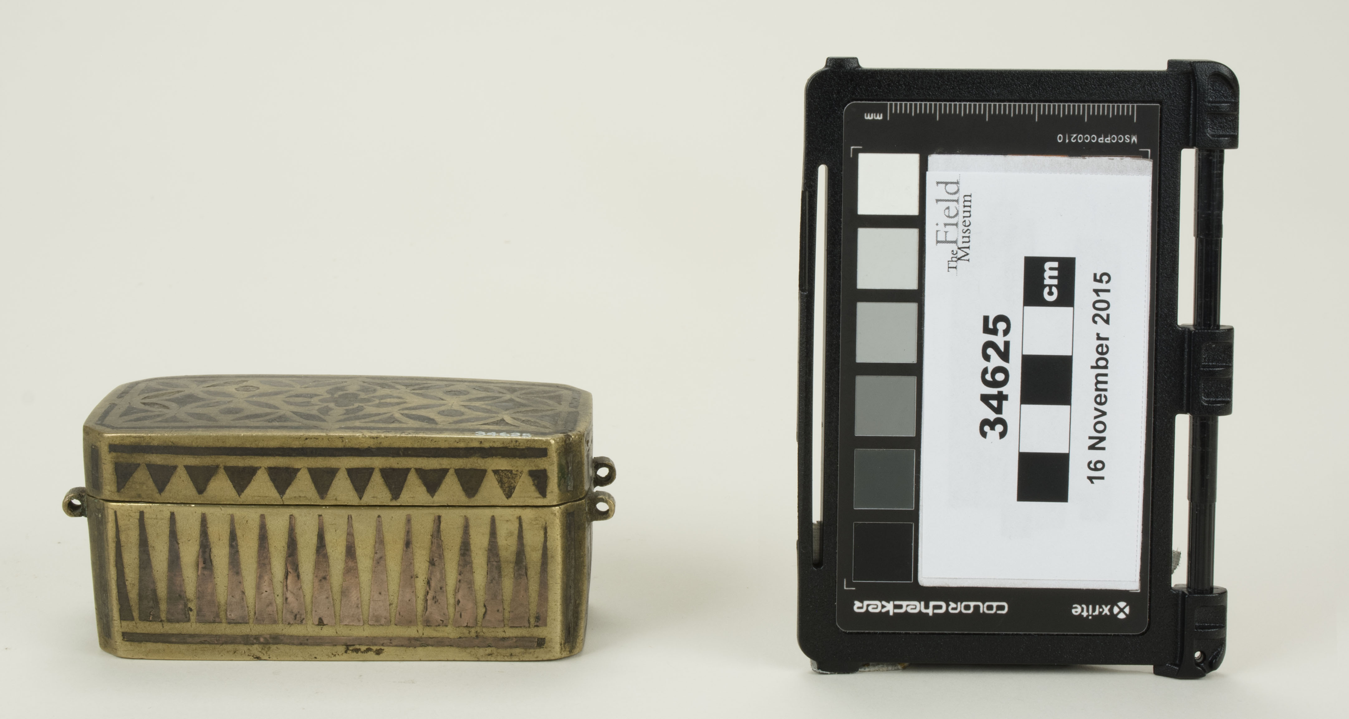 Front view (c) Field Museum of Natural History - CC BY-NC 4.0