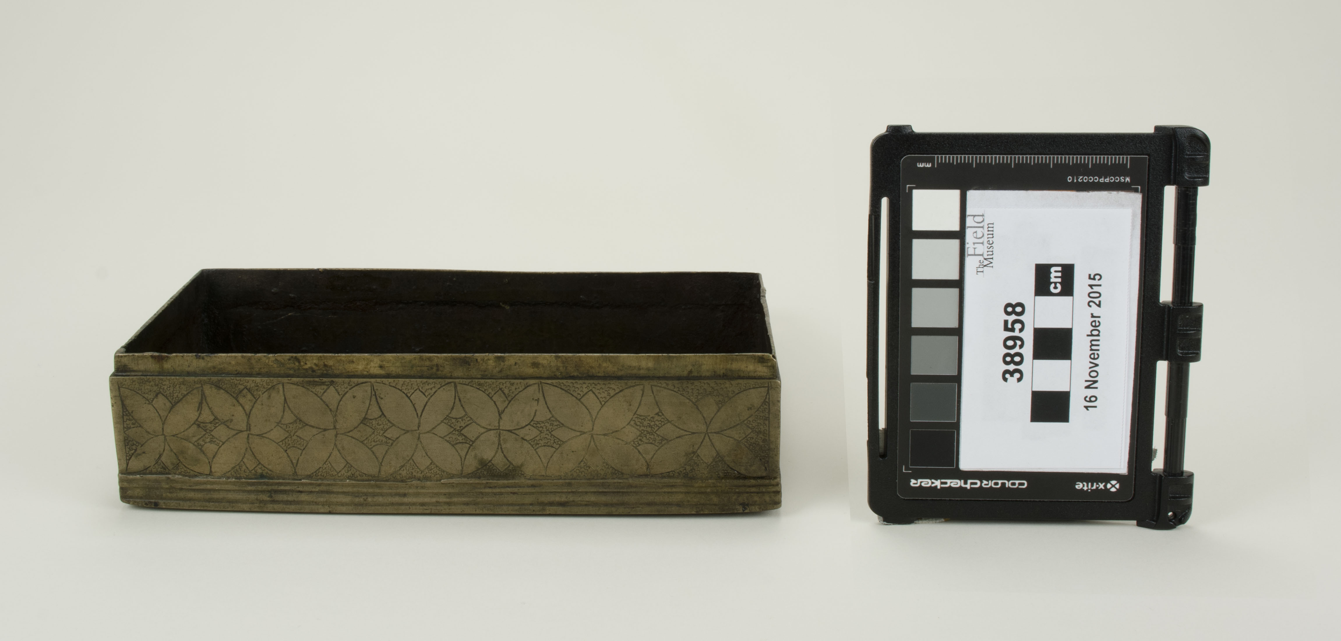 Front open view (c) Field Museum of Natural History - CC BY-NC 4.0