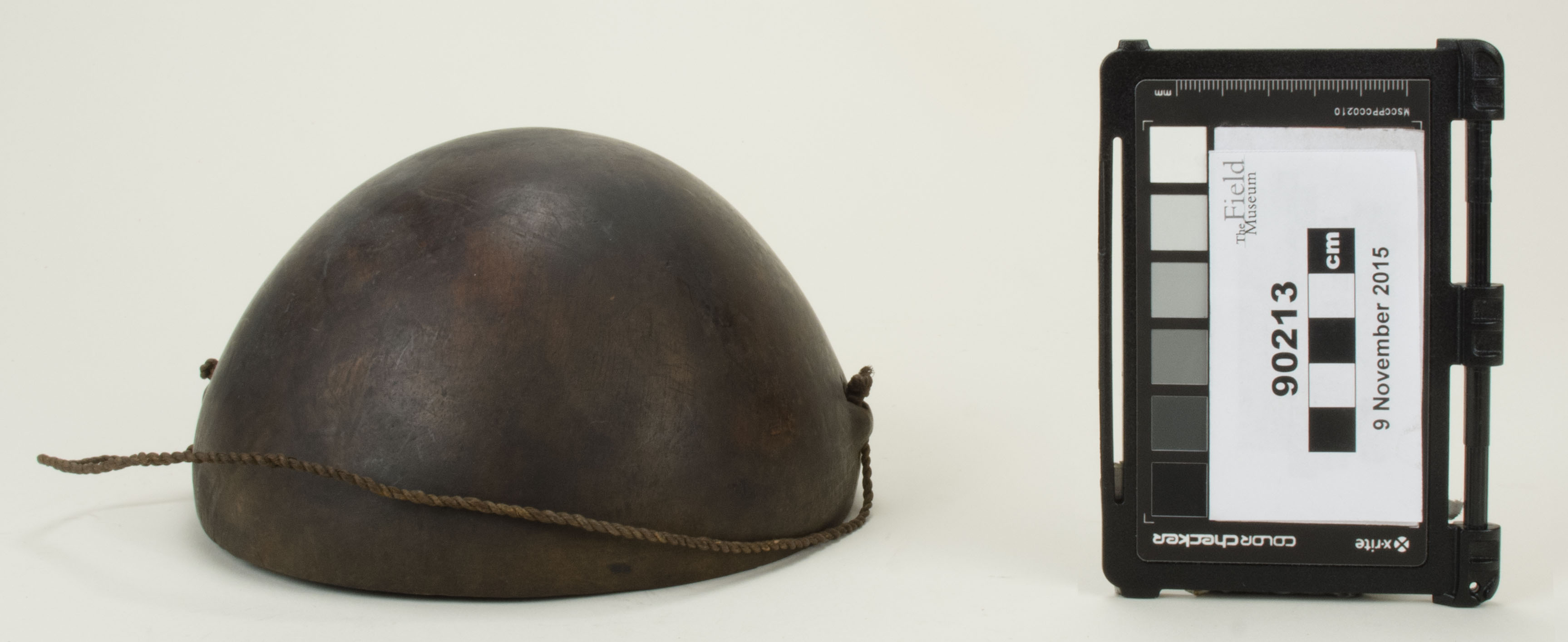 Front view (c) Field Museum of Natural History - CC BY-NC 4.0