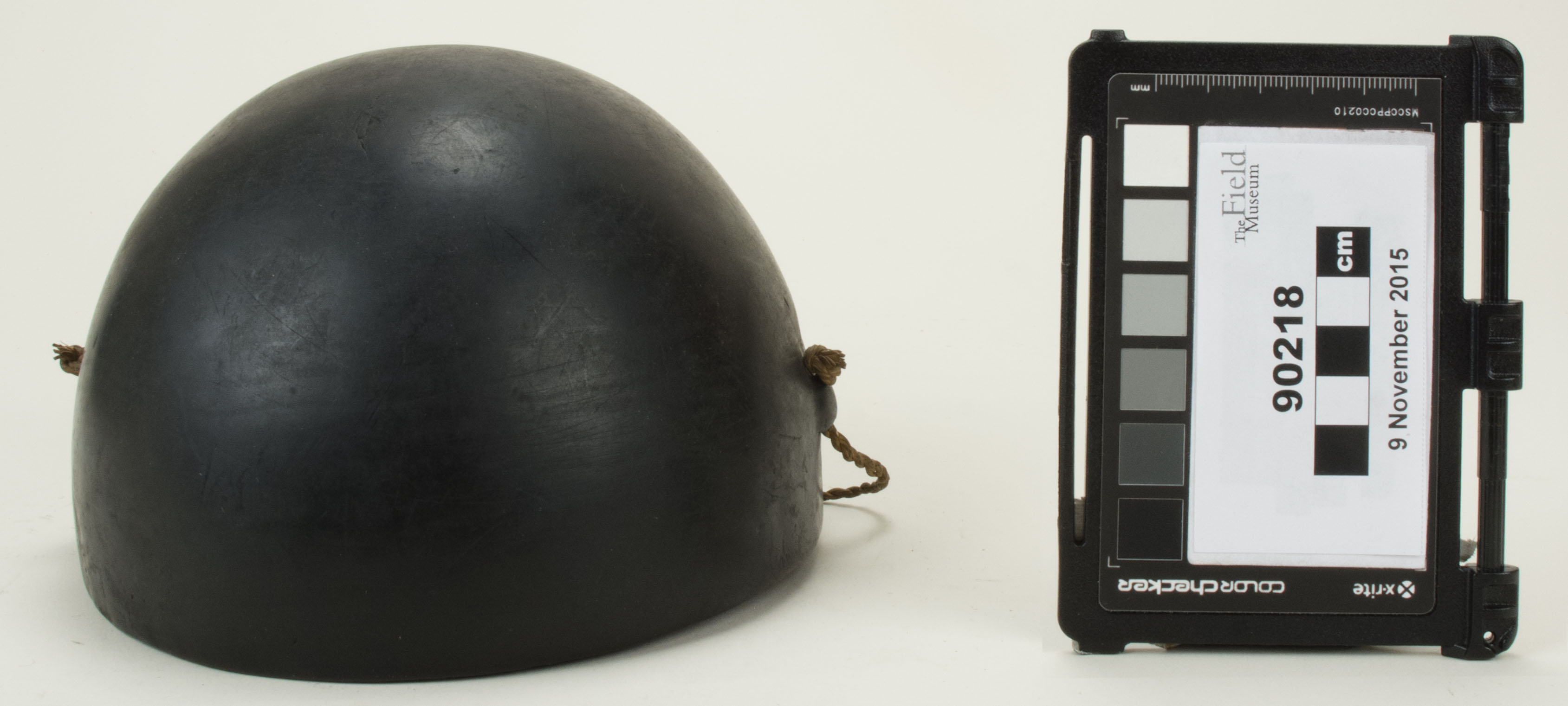 Front view (c) Field Museum of Natural History - CC BY-NC 4.0