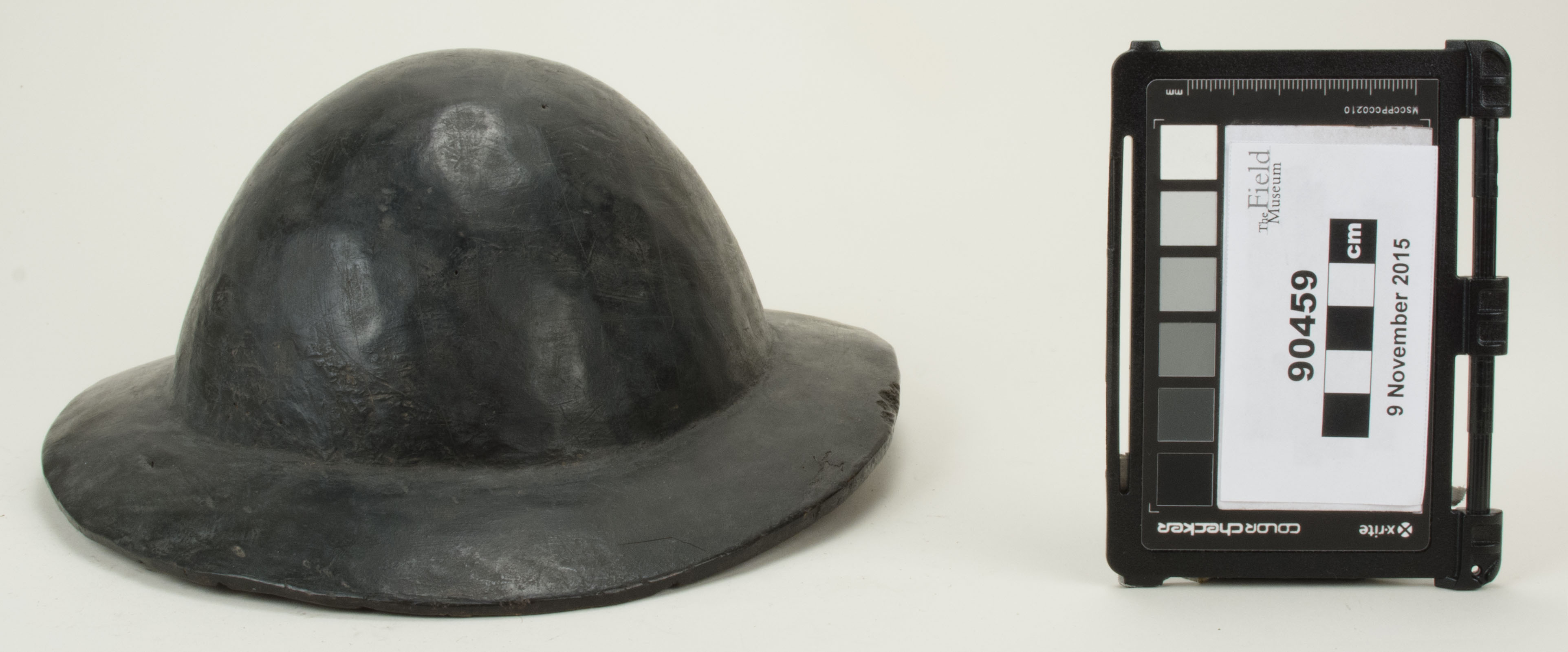 Front view (c) Field Museum of Natural History - CC BY-NC 4.0