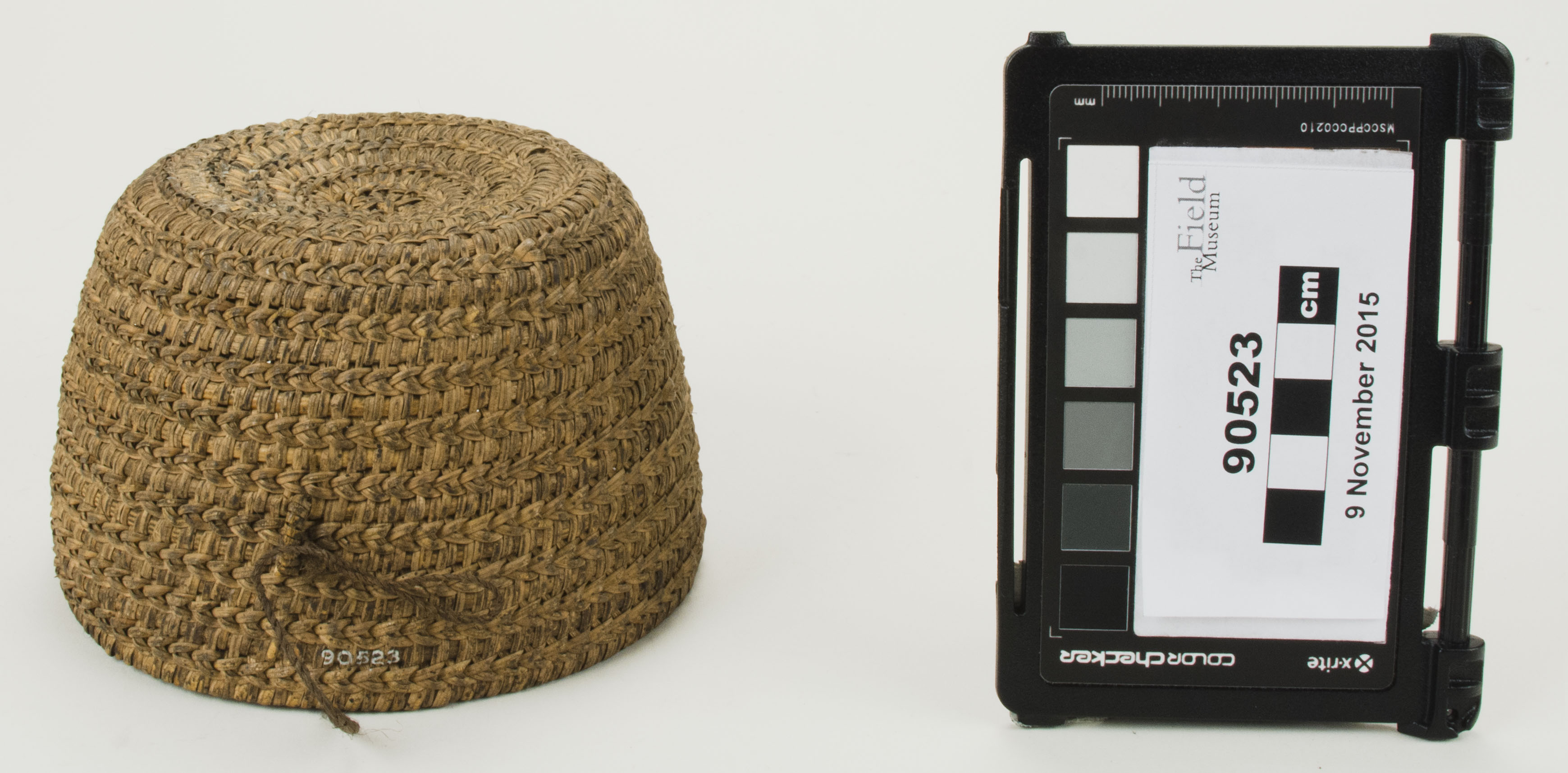 Front view (c) Field Museum of Natural History - CC BY-NC 4.0