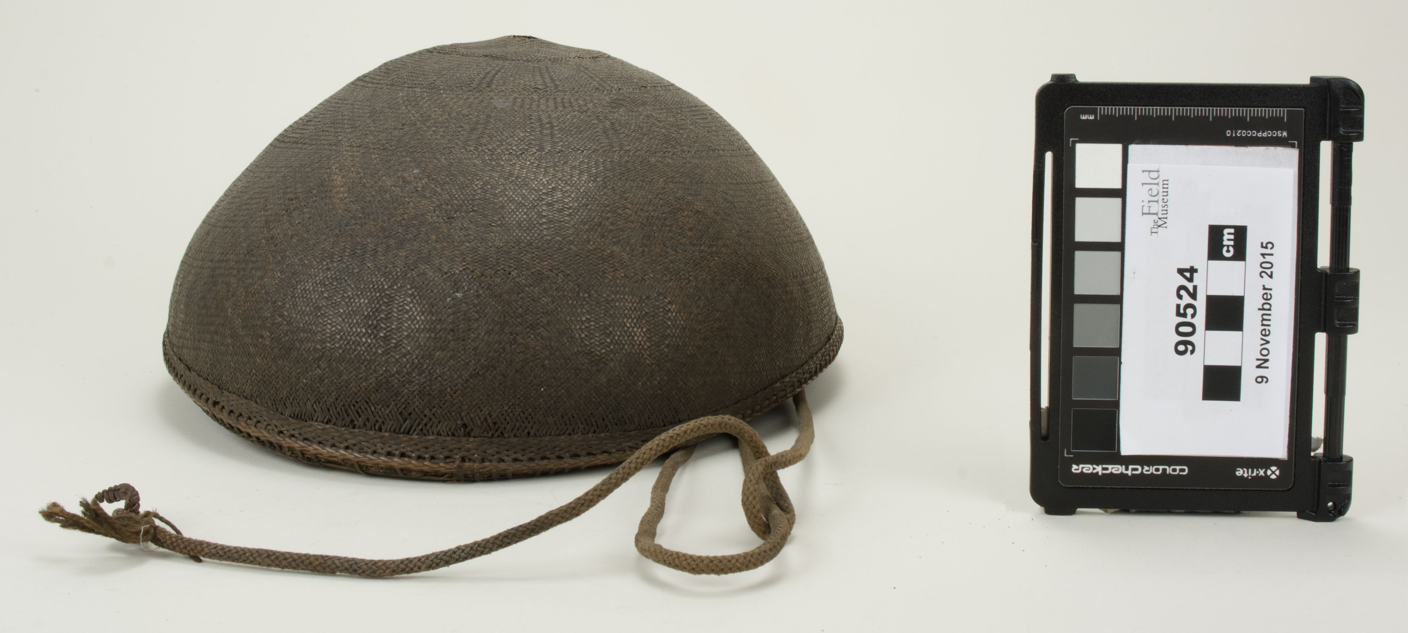 Front view (c) Field Museum of Natural History - CC BY-NC 4.0