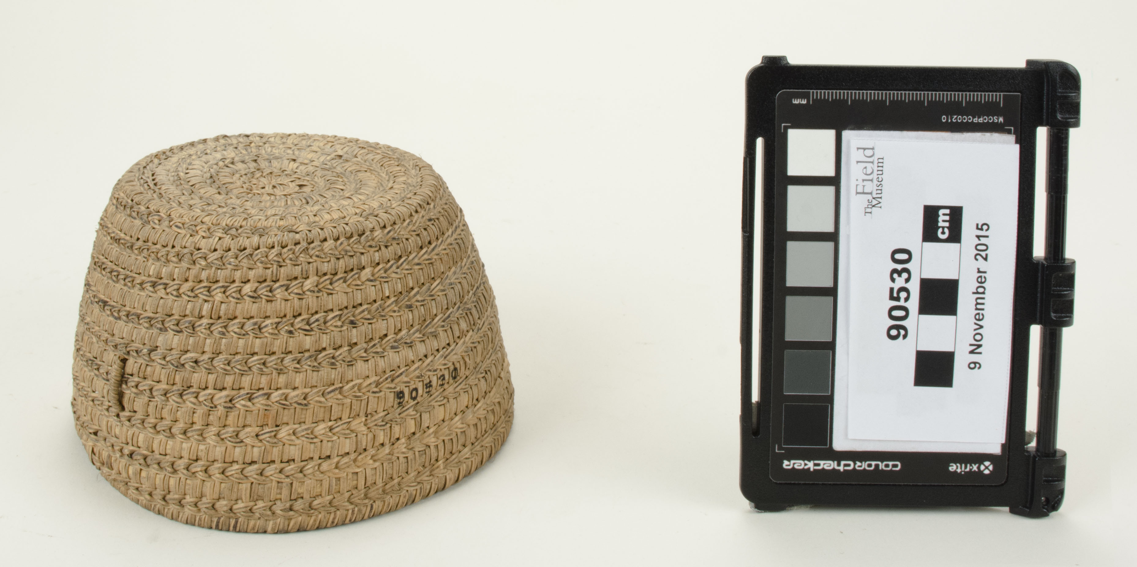 Front view (c) Field Museum of Natural History - CC BY-NC 4.0