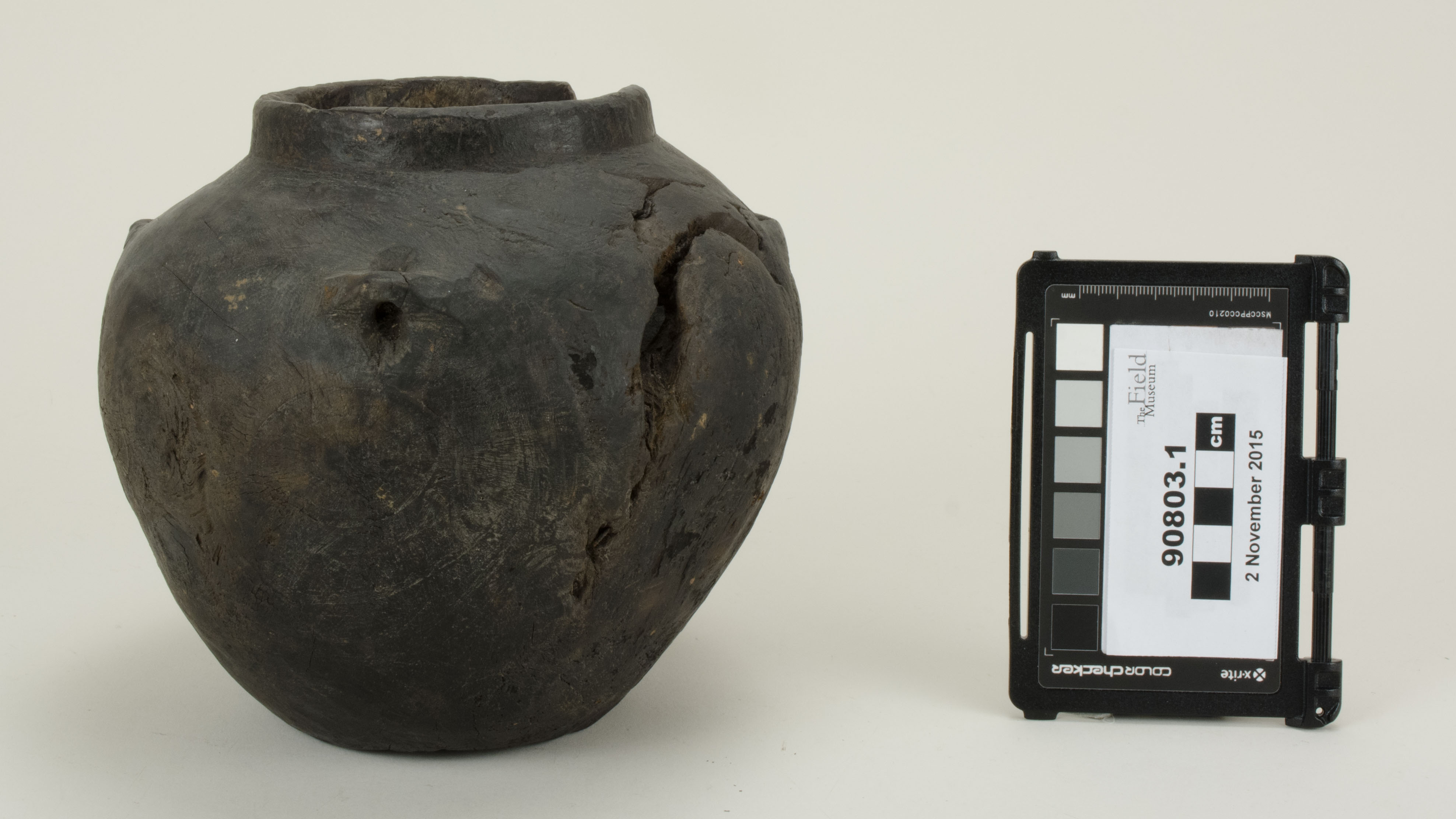 Front view (c) Field Museum of Natural History - CC BY-NC 4.0