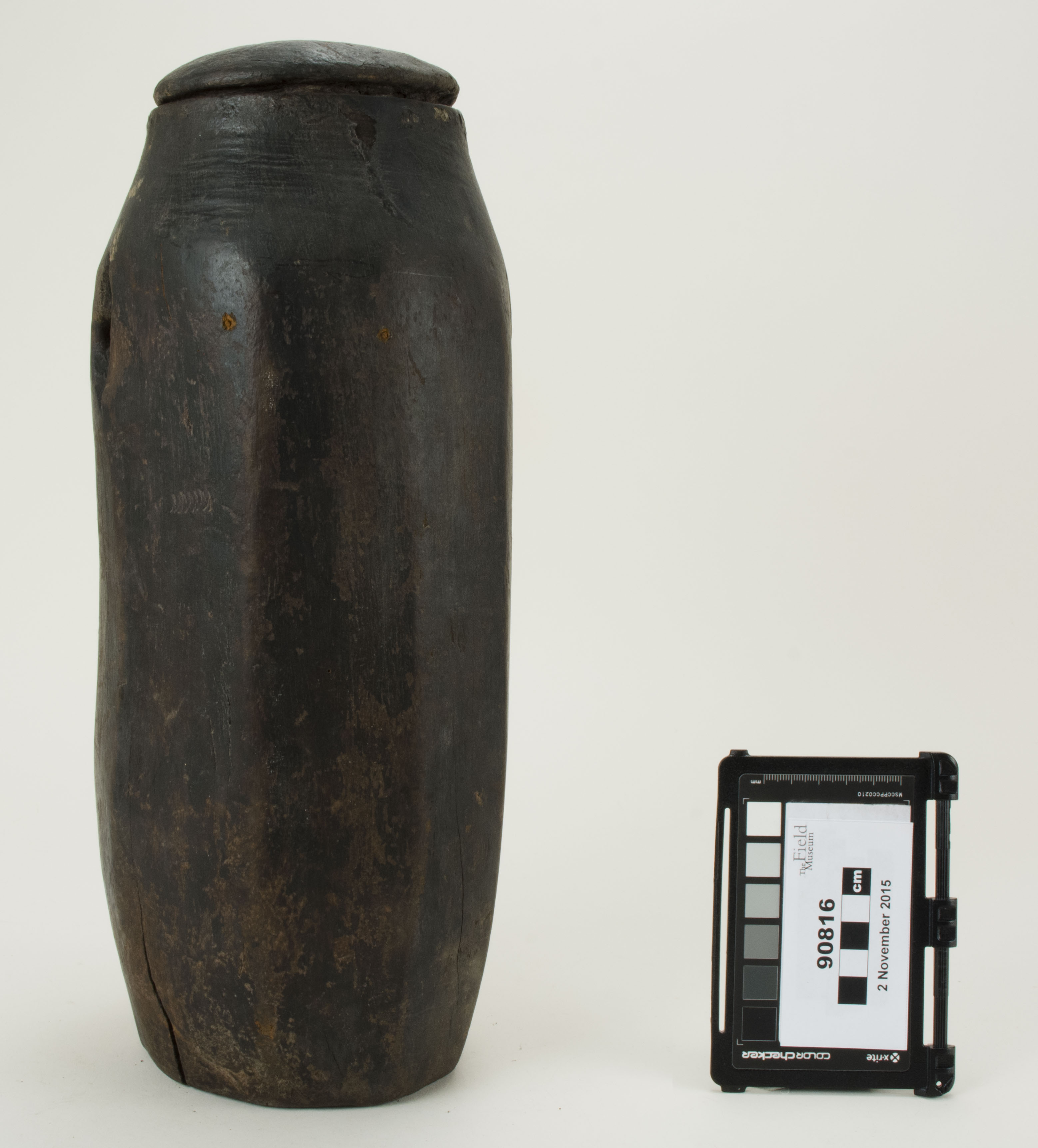 Front view (c) Field Museum of Natural History - CC BY-NC 4.0