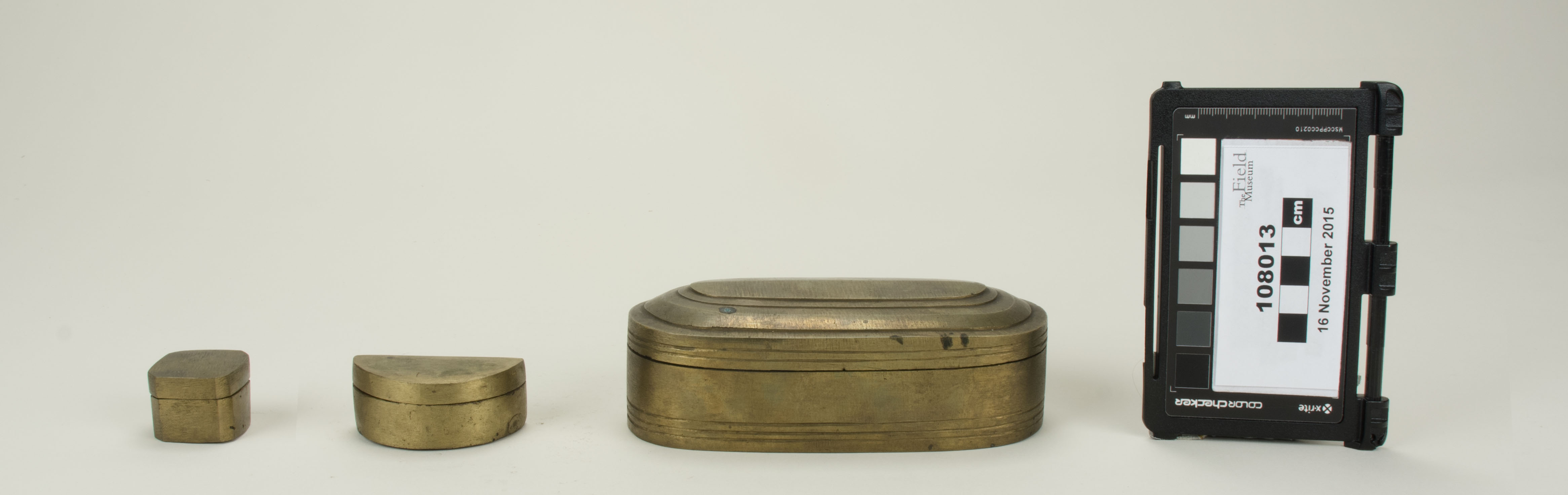 Front view (c) Field Museum of Natural History - CC BY-NC 4.0