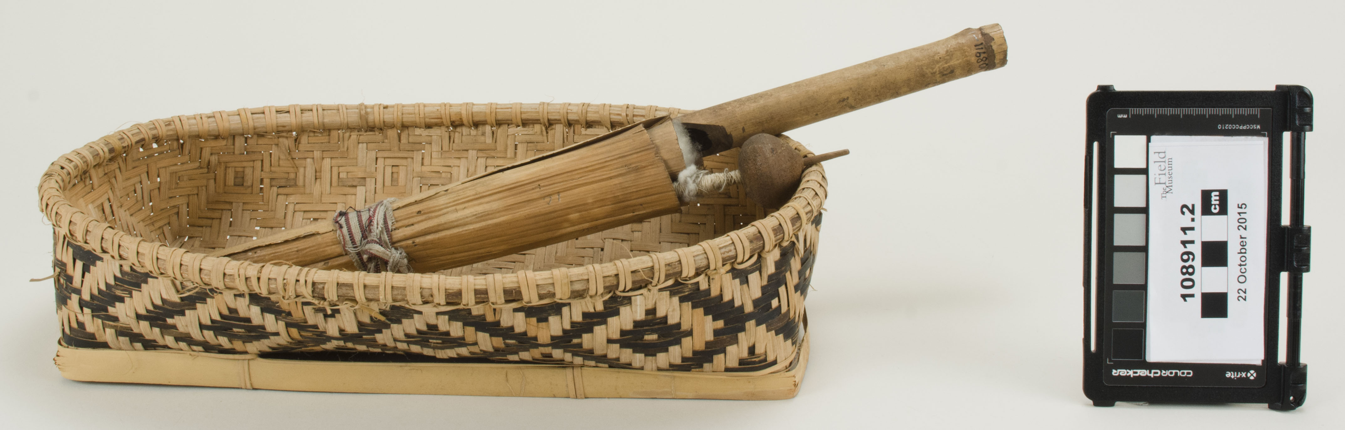 Front view (c) Field Museum of Natural History - CC BY-NC 4.0