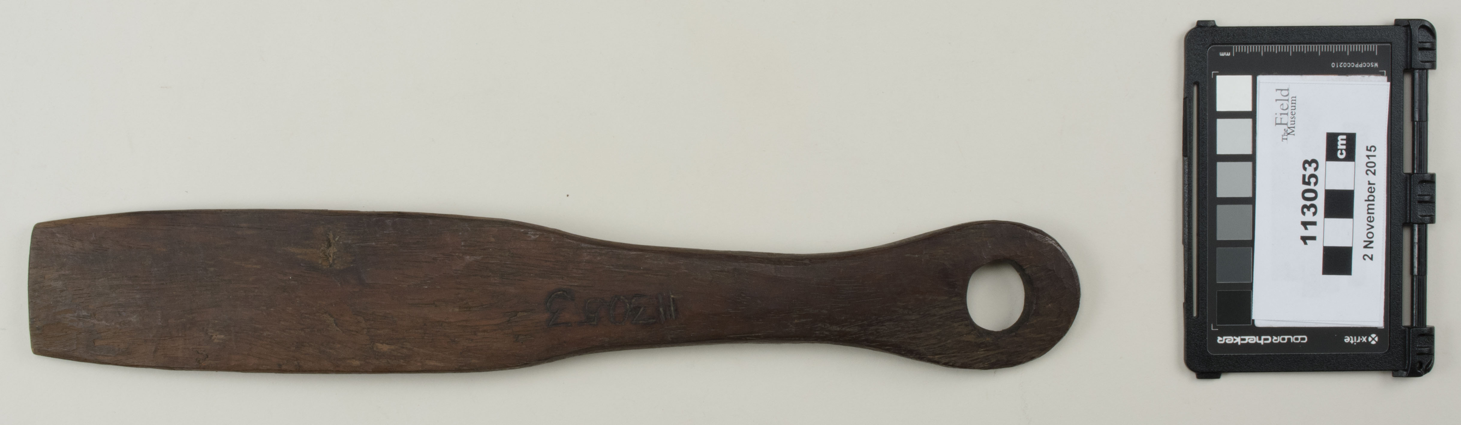 Top view (c) Field Museum of Natural History - CC BY-NC 4.0