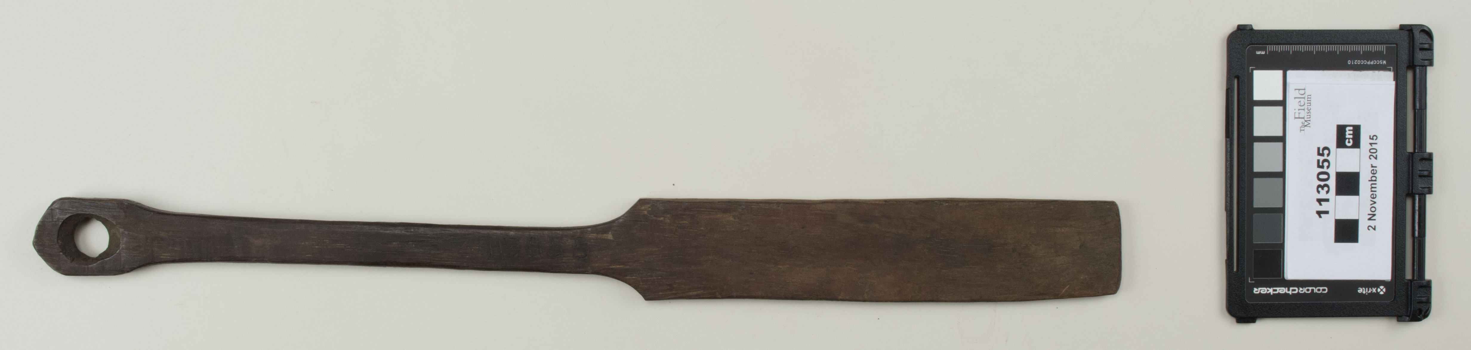 Top view (c) Field Museum of Natural History - CC BY-NC 4.0