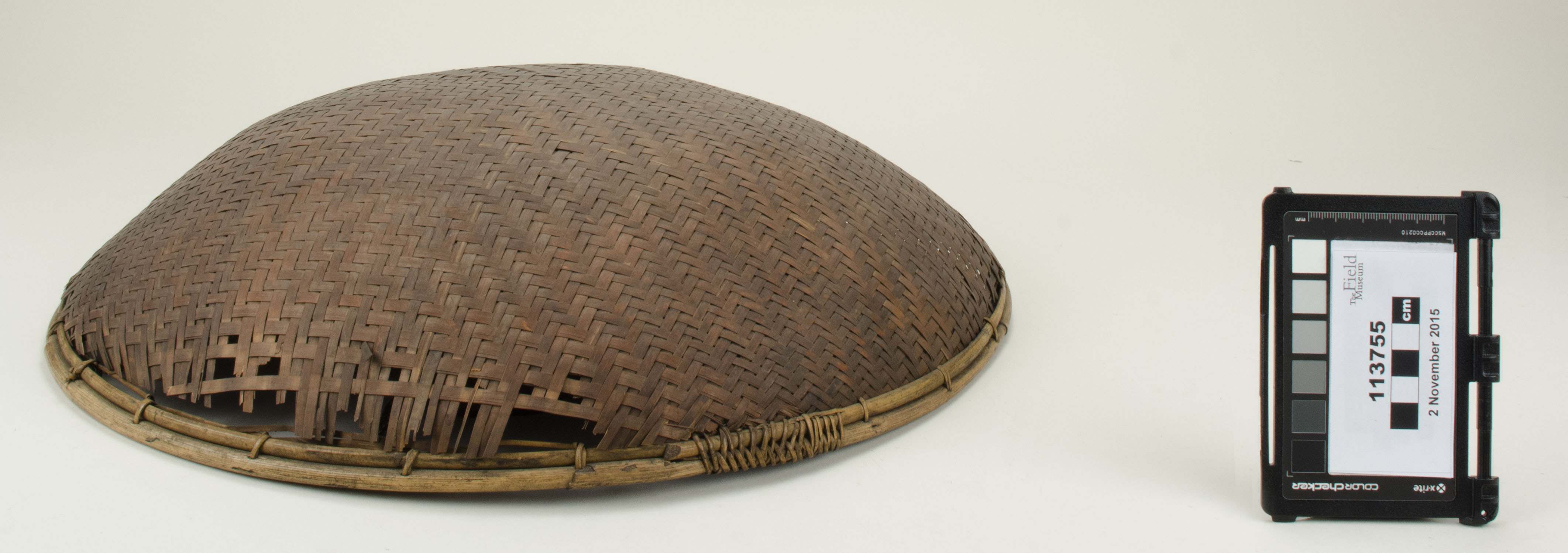 Front view (c) Field Museum of Natural History - CC BY-NC 4.0