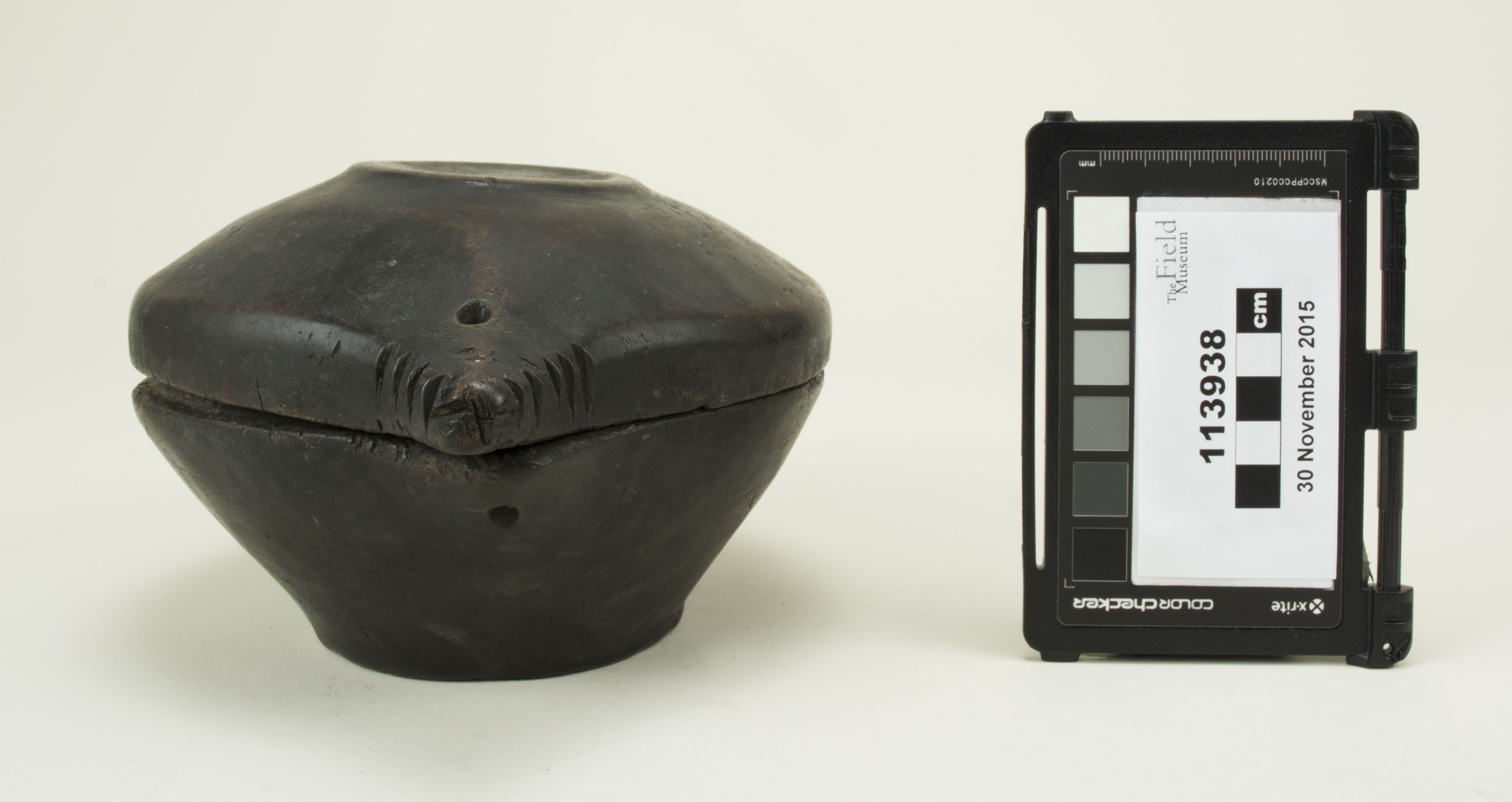 Side view (c) Field Museum of Natural History - CC BY-NC 4.0