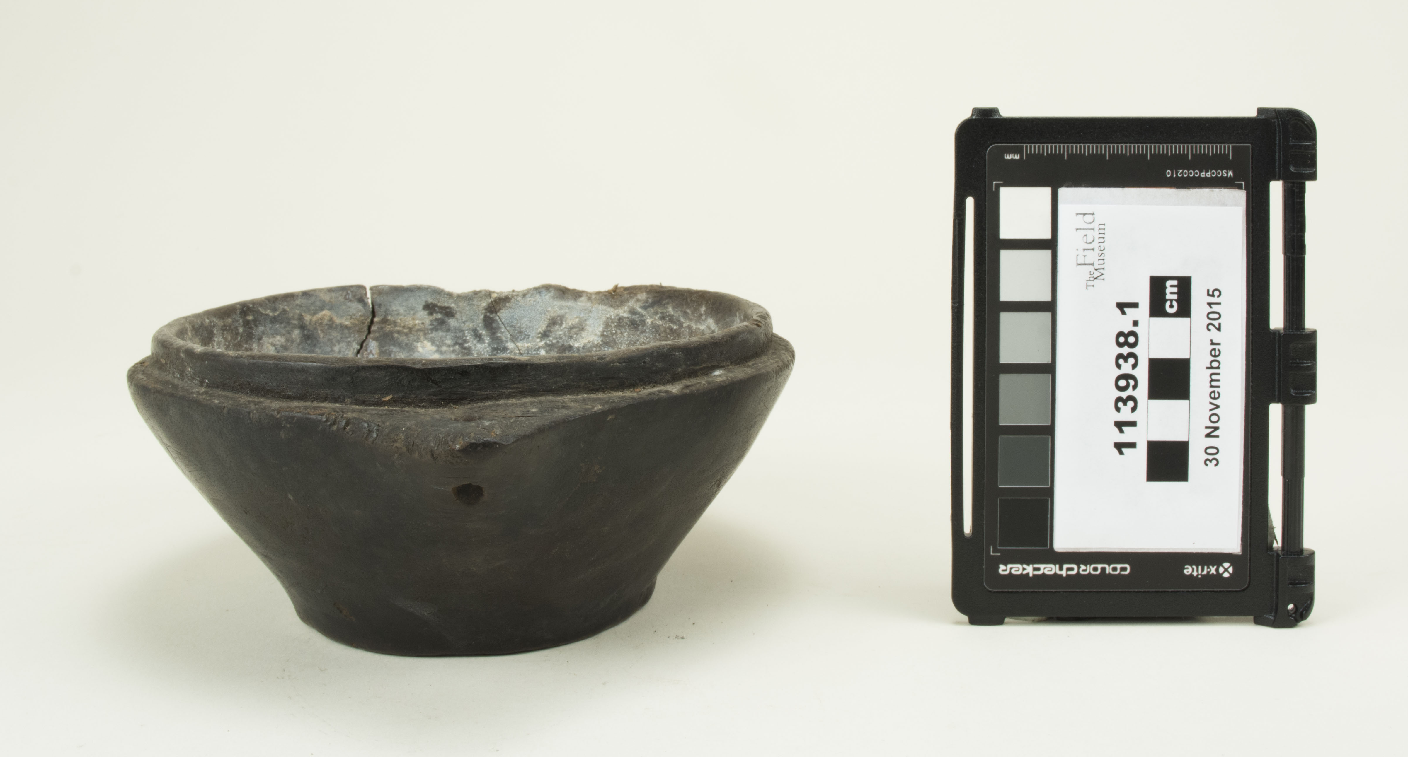 Side view (c) Field Museum of Natural History - CC BY-NC 4.0