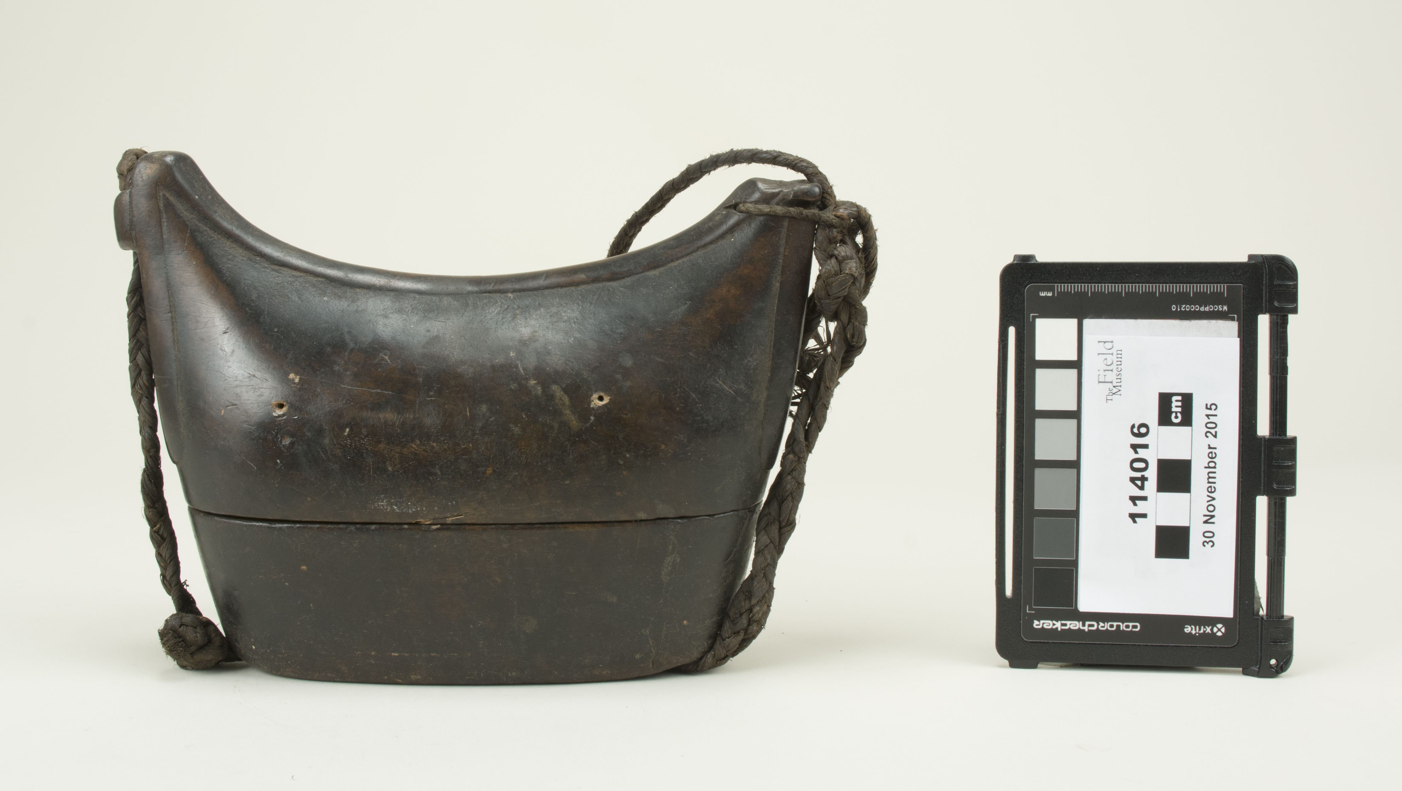 Front view (c) Field Museum of Natural History - CC BY-NC 4.0