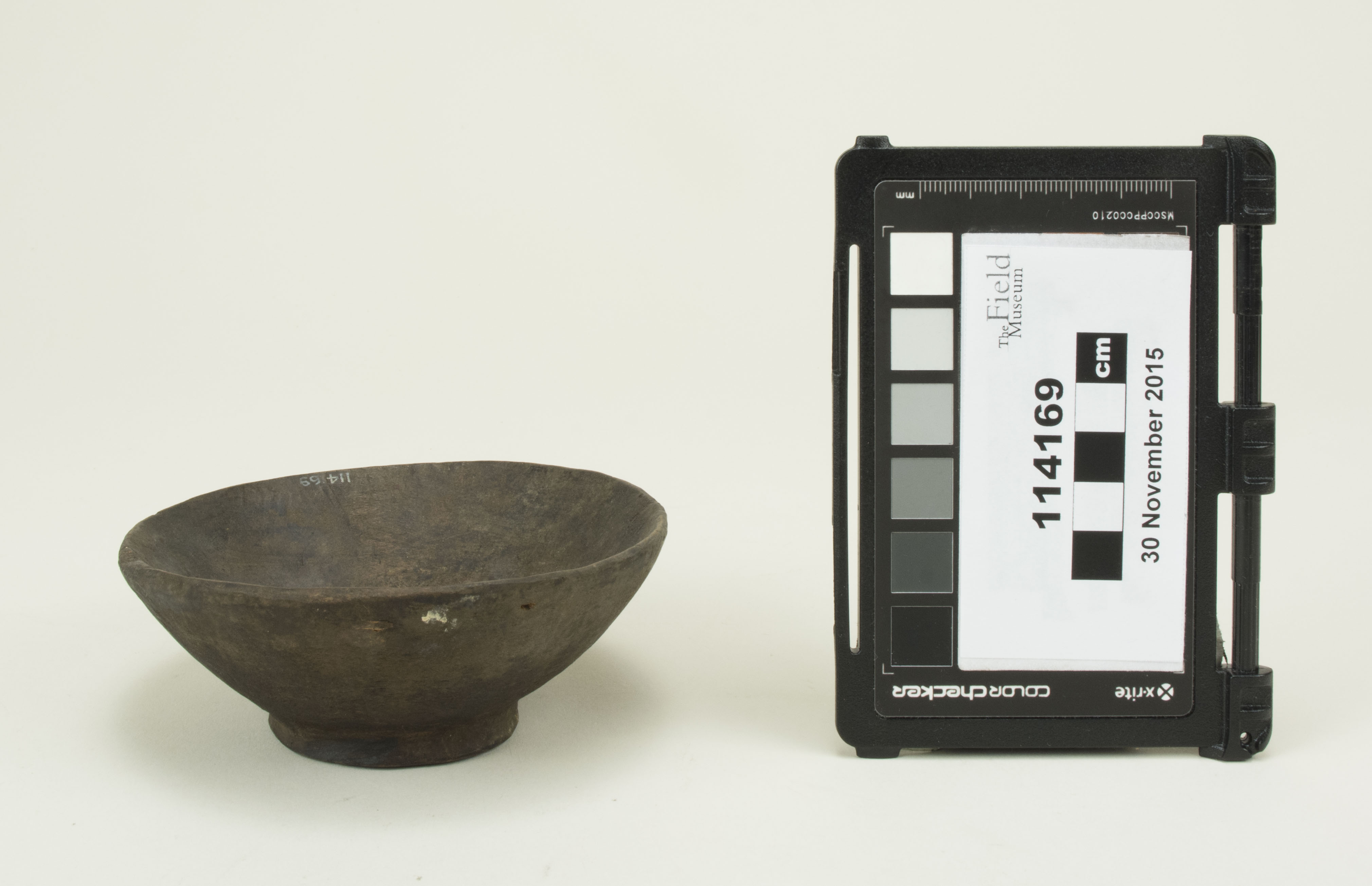 Front view (c) Field Museum of Natural History - CC BY-NC 4.0