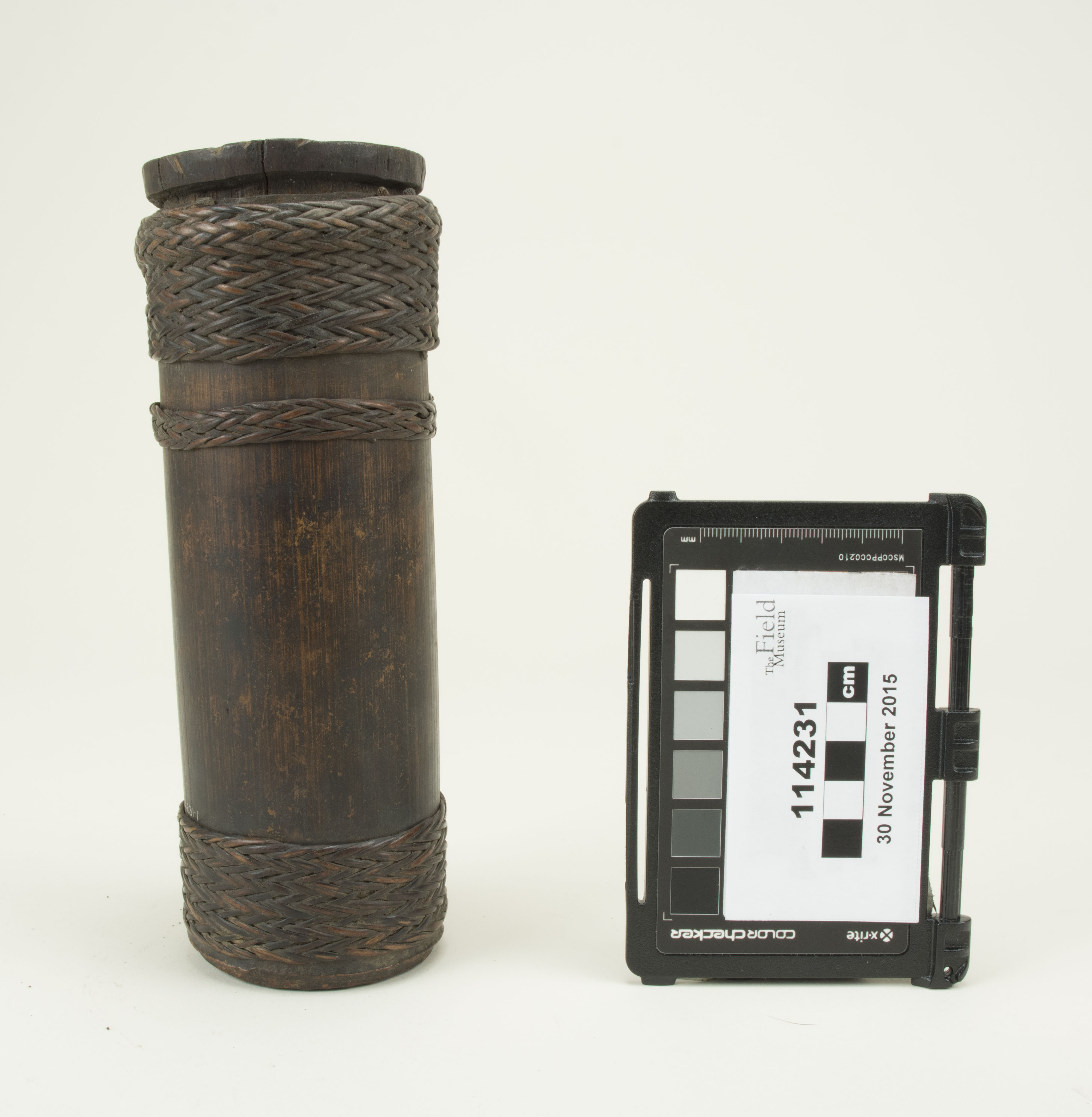 Front view (c) Field Museum of Natural History - CC BY-NC 4.0