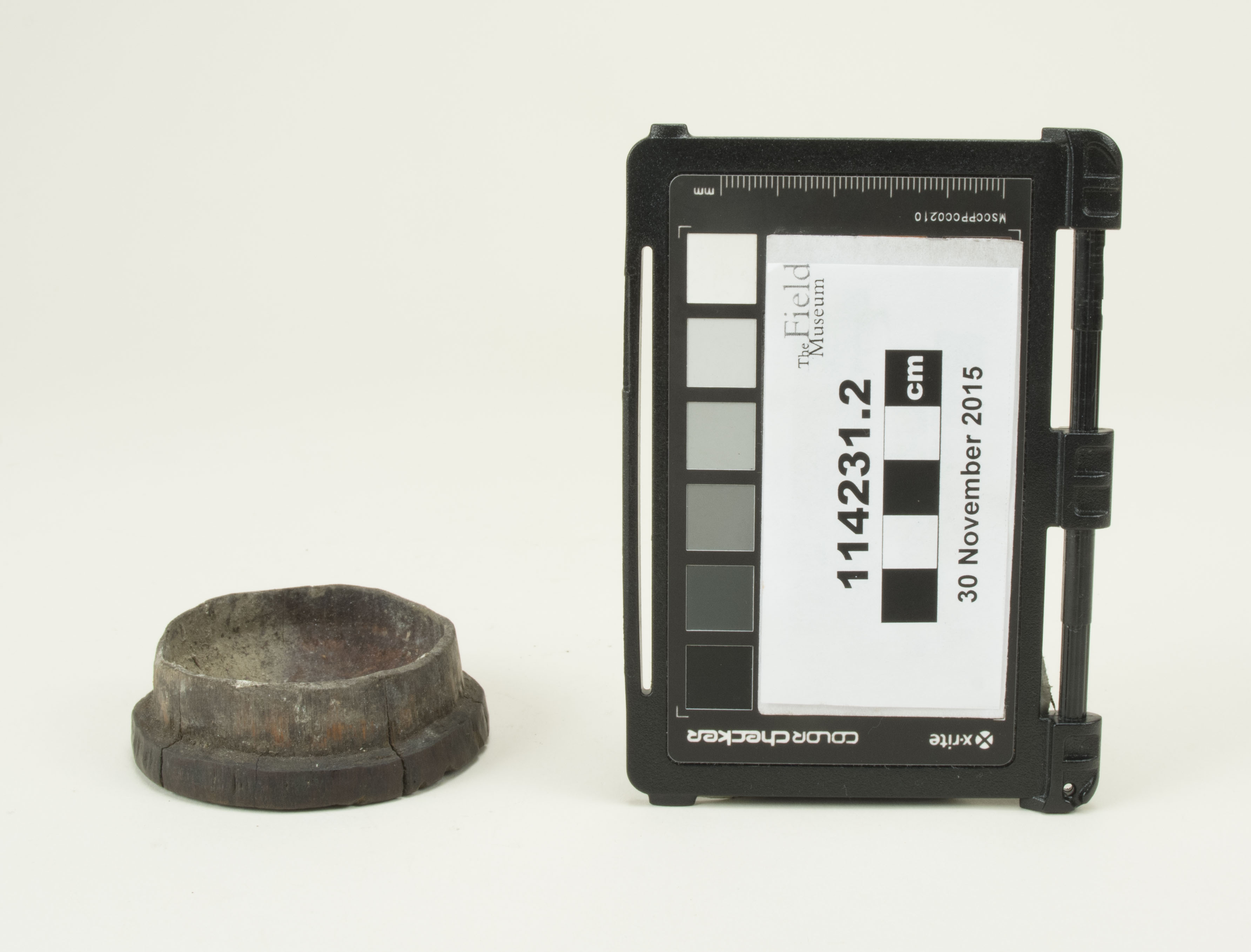 Front view (c) Field Museum of Natural History - CC BY-NC 4.0