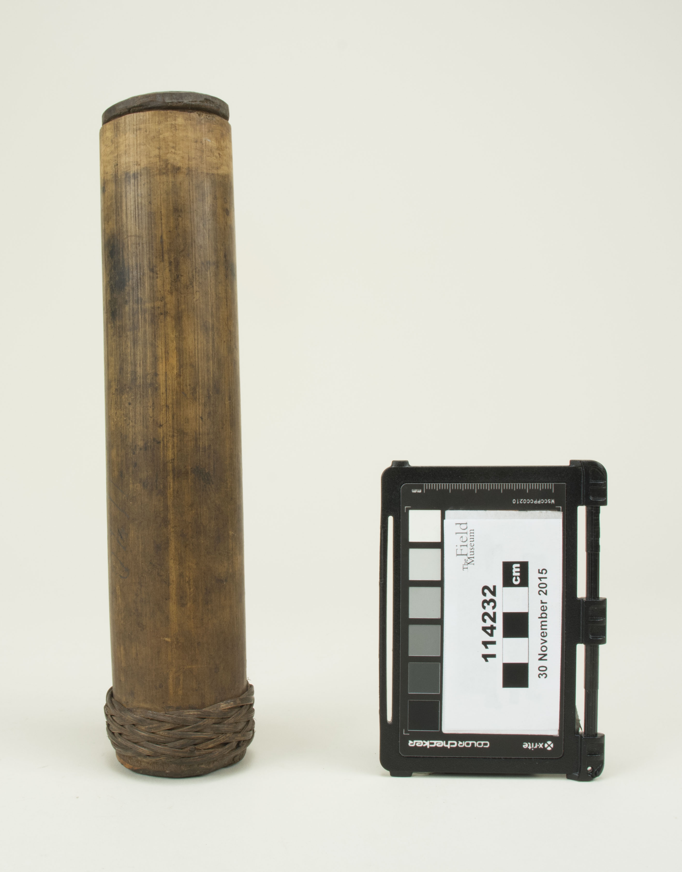 Front view (c) Field Museum of Natural History - CC BY-NC 4.0