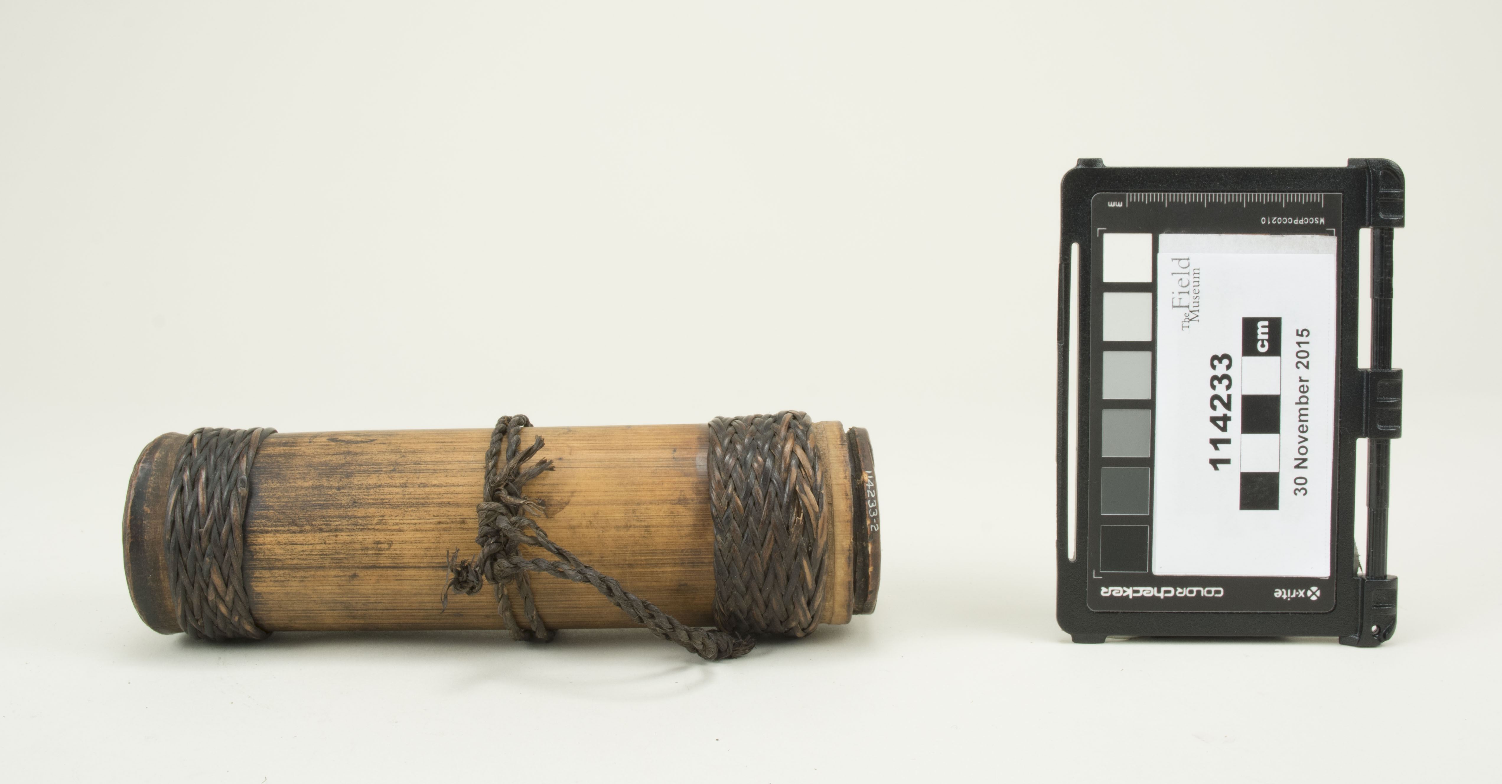 Front view (c) Field Museum of Natural History - CC BY-NC 4.0