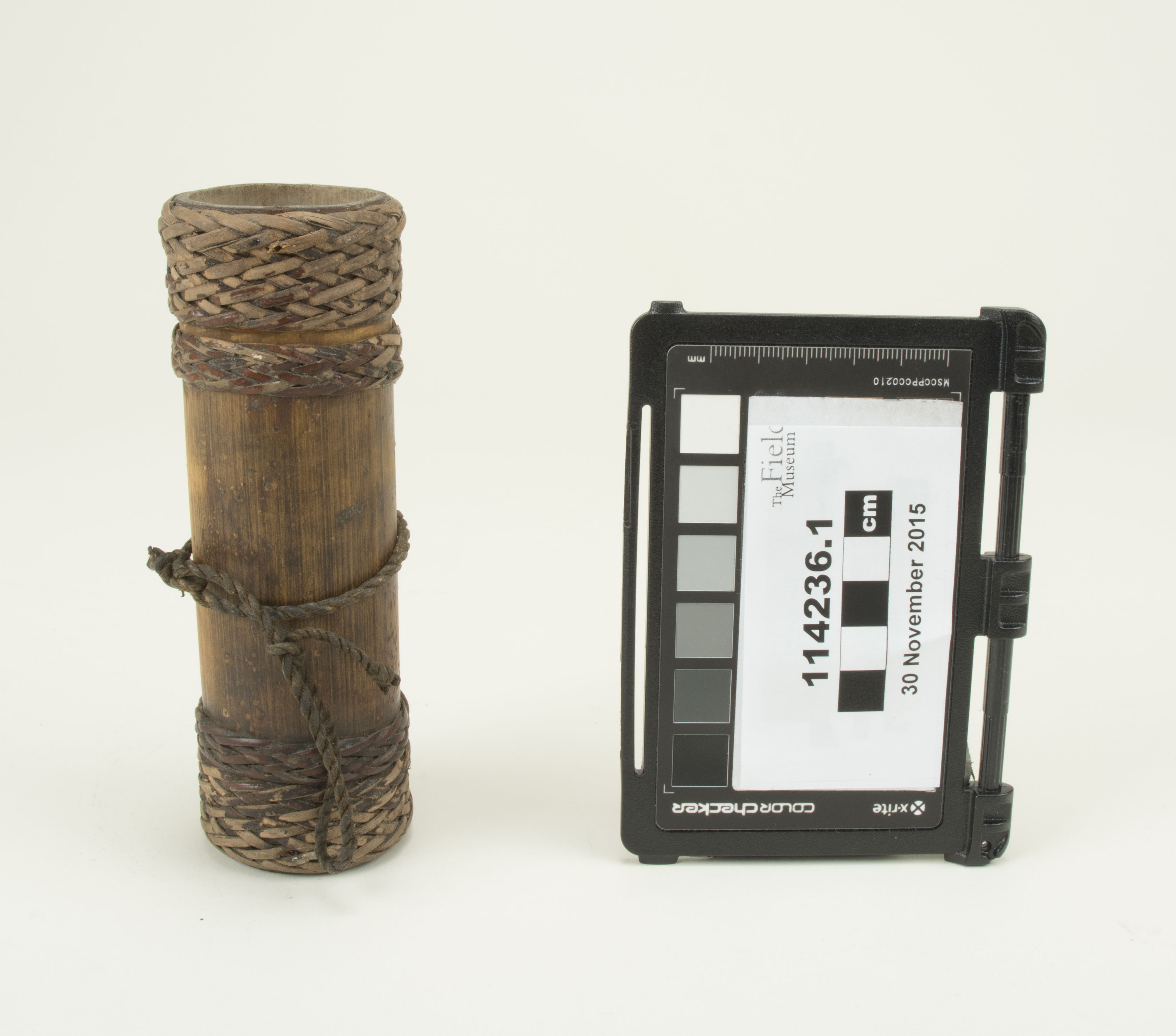 Front view (c) Field Museum of Natural History - CC BY-NC 4.0