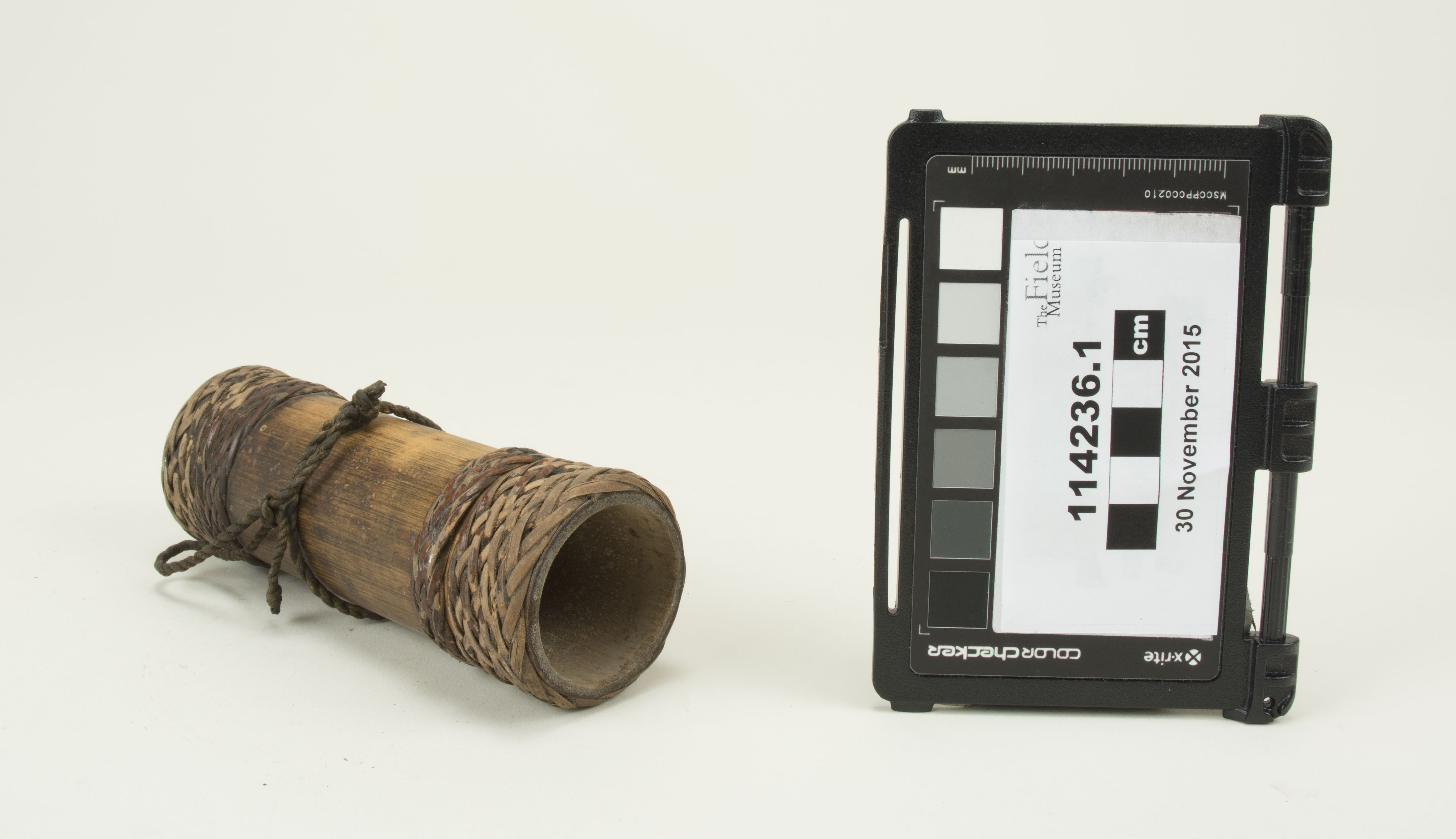 Side view (c) Field Museum of Natural History - CC BY-NC 4.0