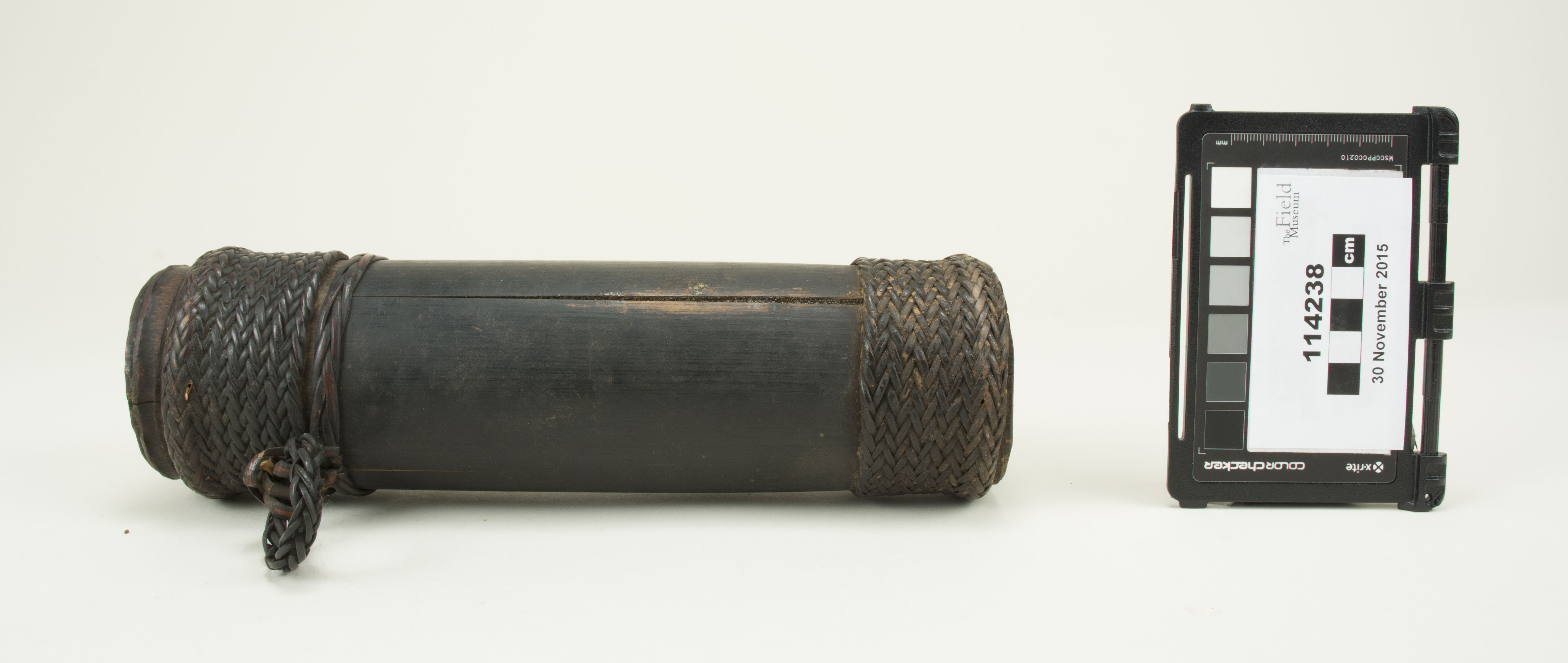 Side view (c) Field Museum of Natural History - CC BY-NC 4.0