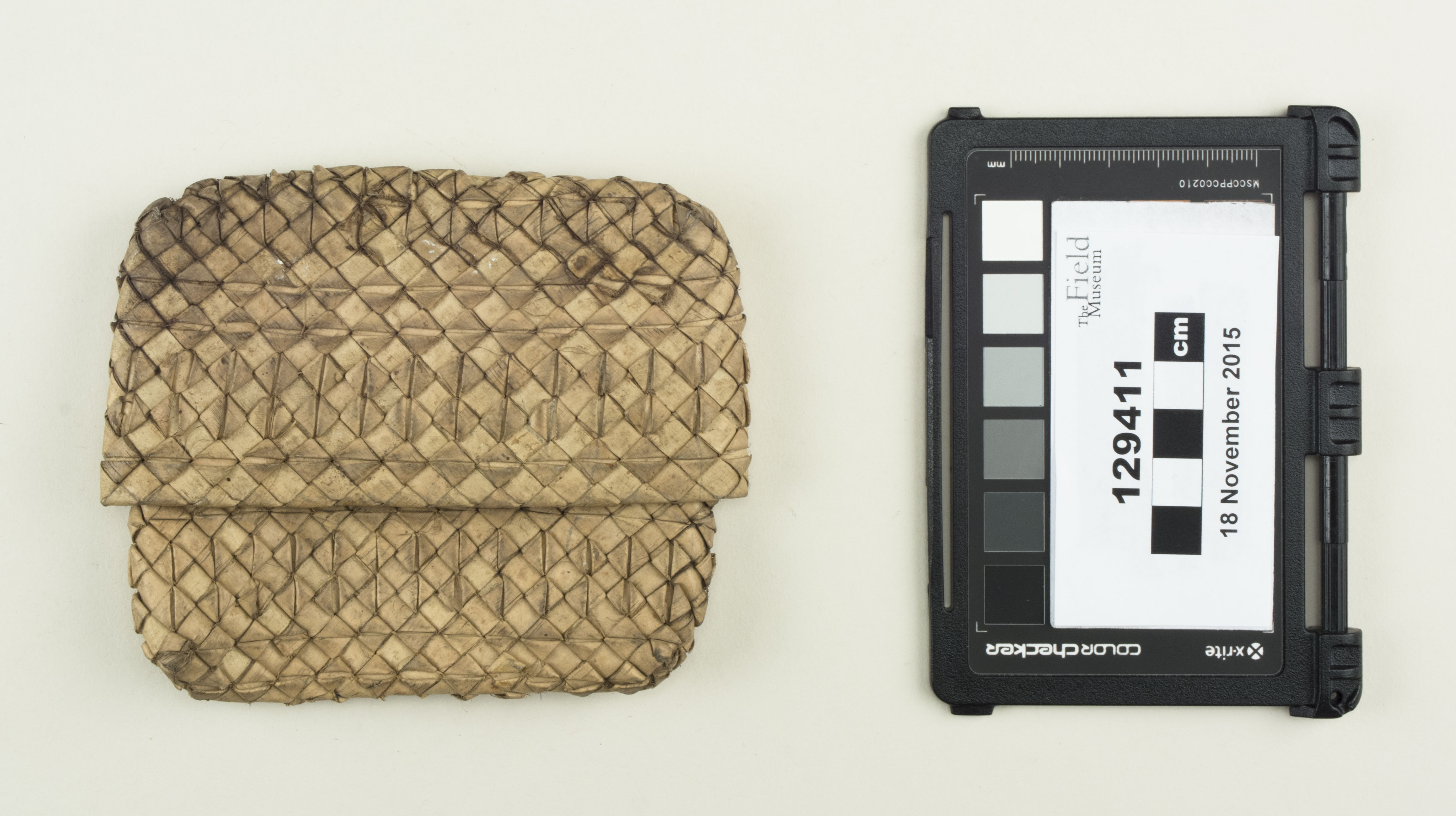 Top view (c) Field Museum of Natural History - CC BY-NC 4.0